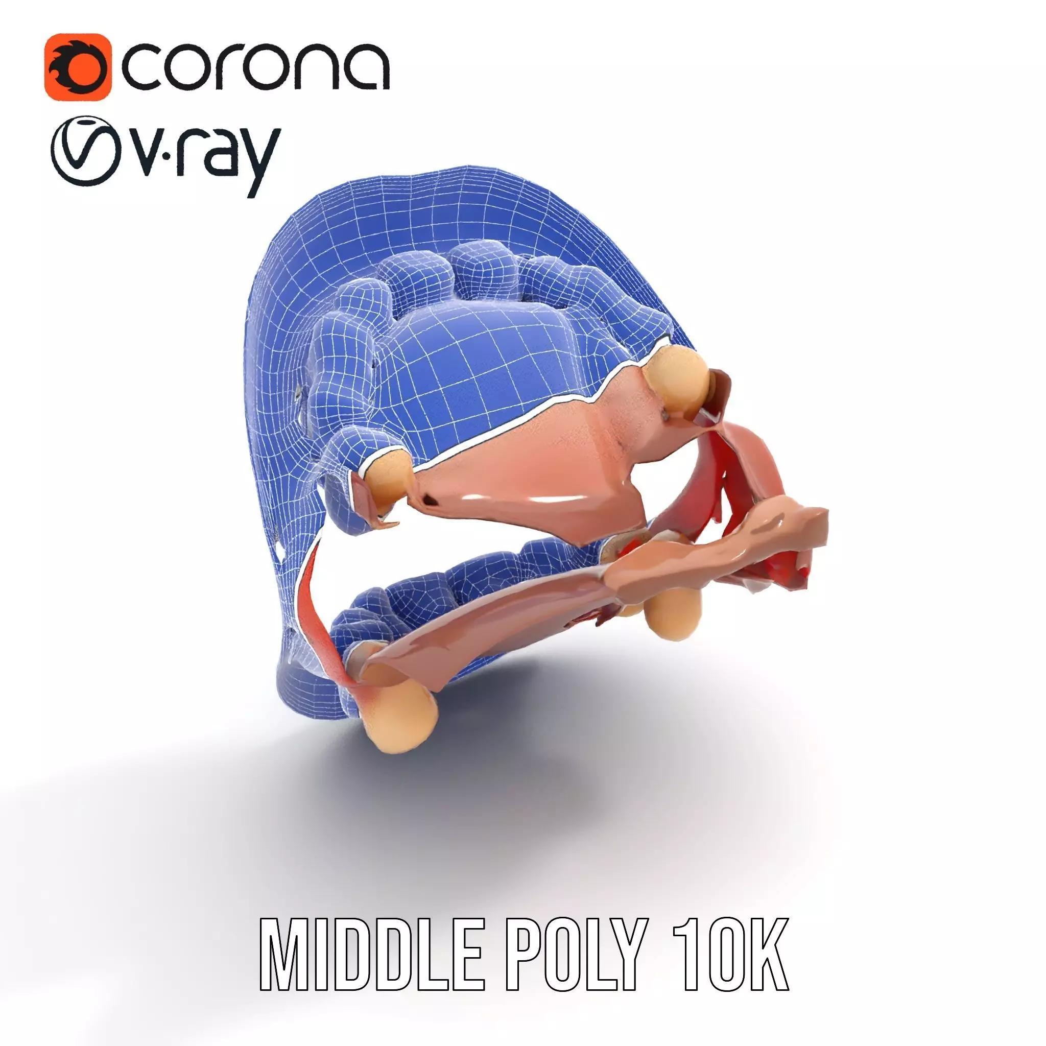 Realistic Human Mouth model pack Low-poly 3D model_16