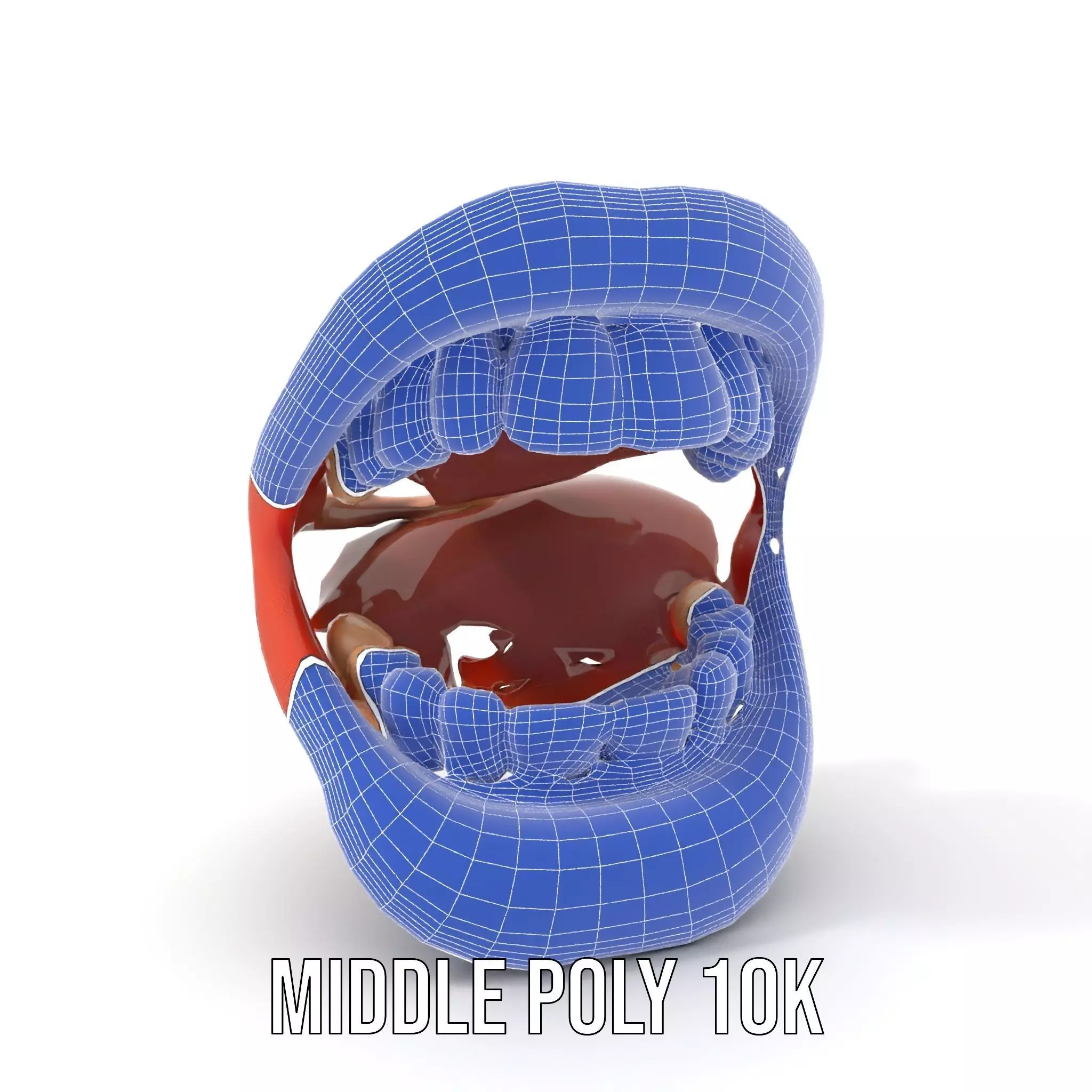 Realistic Human Mouth model pack Low-poly 3D model_24