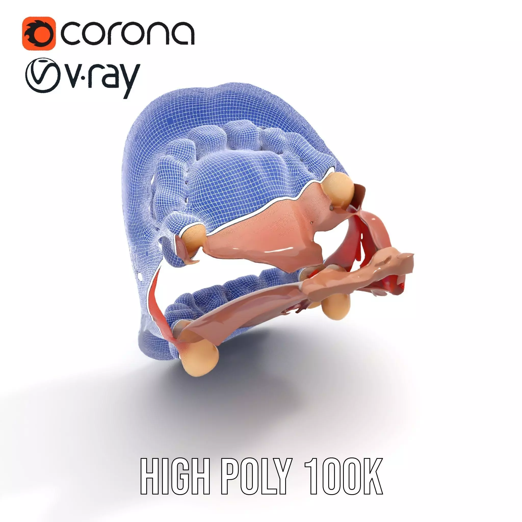 Realistic Human Mouth model pack Low-poly 3D model_26