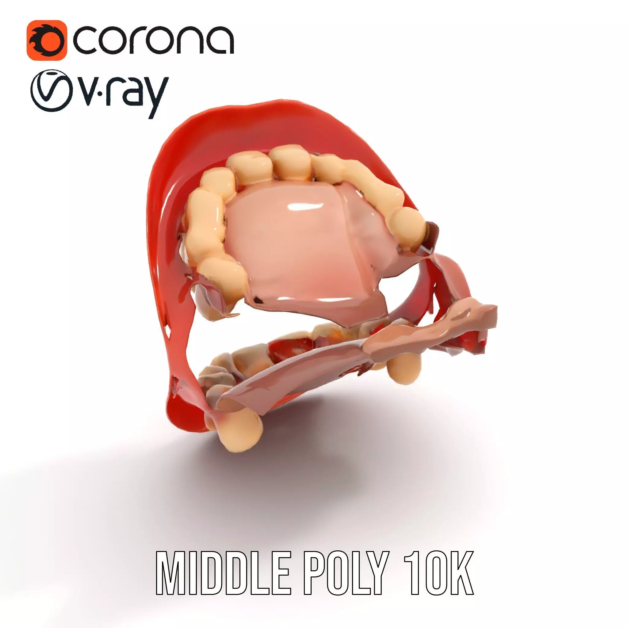 Realistic Human Mouth model pack Low-poly 3D model_13