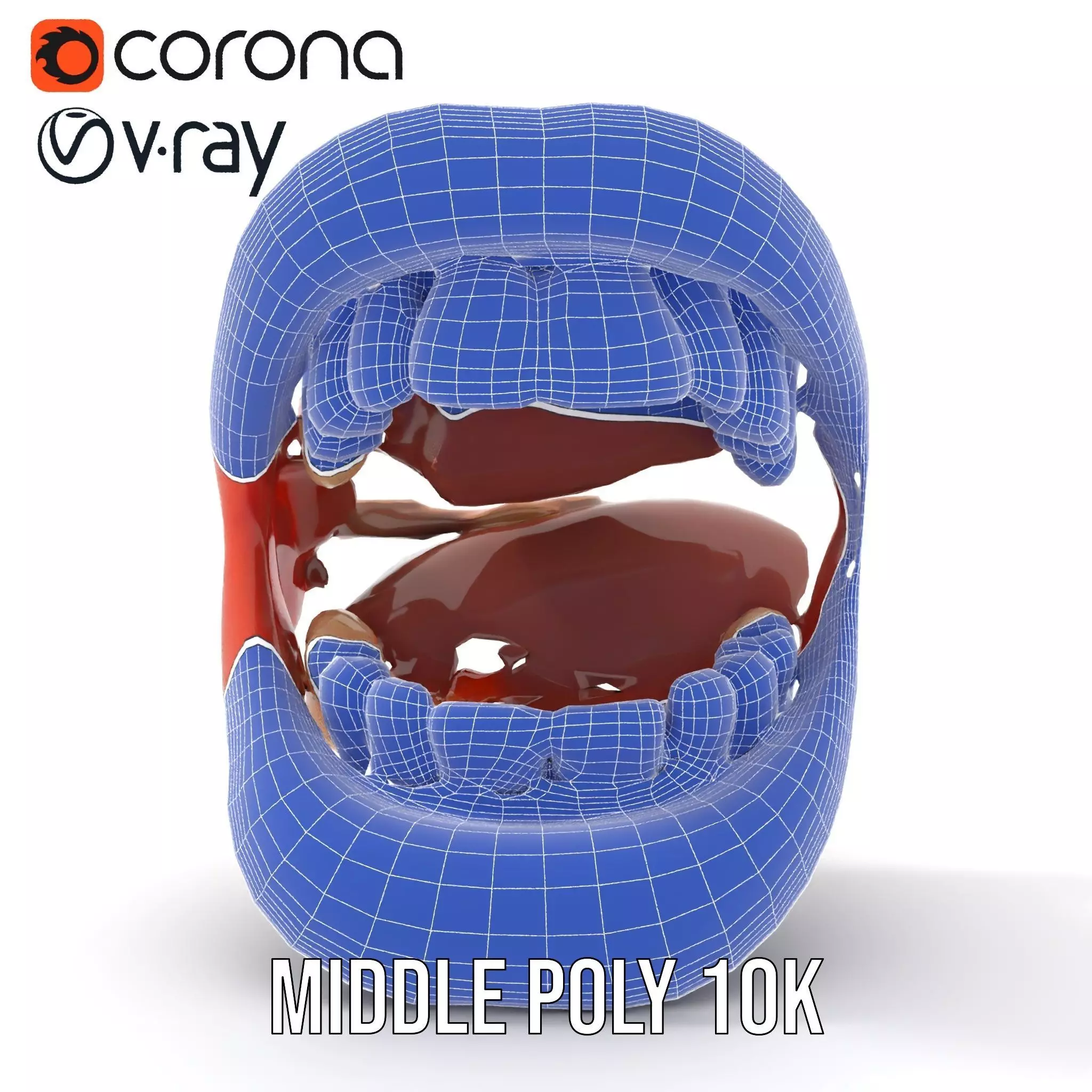 Realistic Human Mouth model pack Low-poly 3D model_30