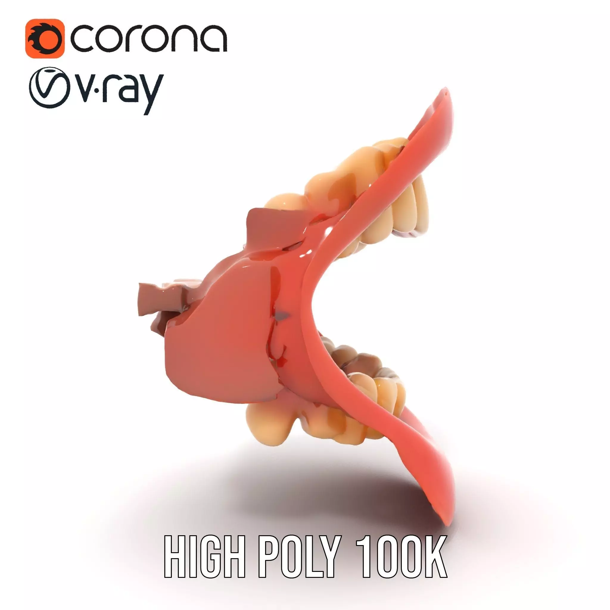 Realistic Human Mouth model pack Low-poly 3D model_32