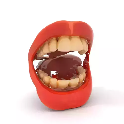 Realistic Human Mouth model pack Low-poly 3D model