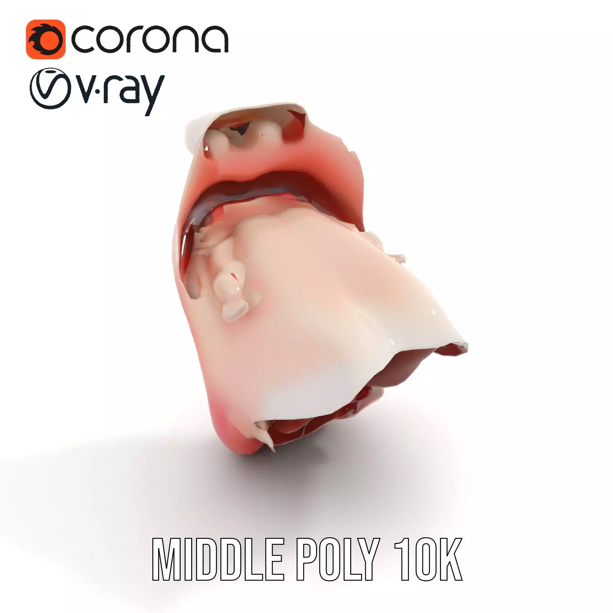 Realistic Human Mouth model pack Low-poly 3D model_5