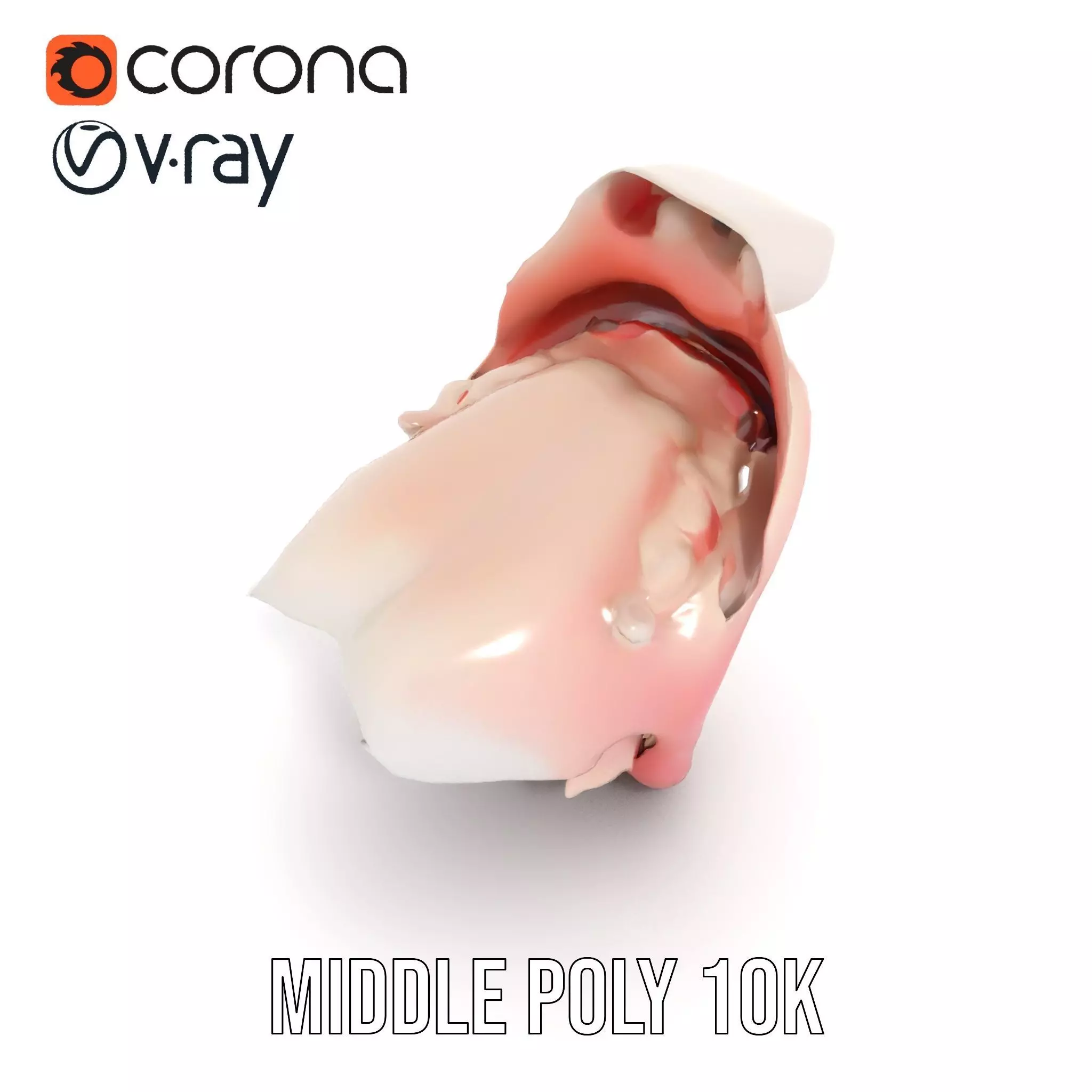 Realistic Human Mouth model pack Low-poly 3D model_14