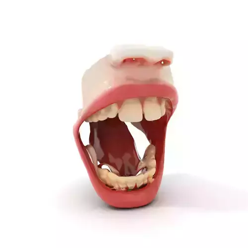 Realistic Human Mouth model pack Low-poly 3D model