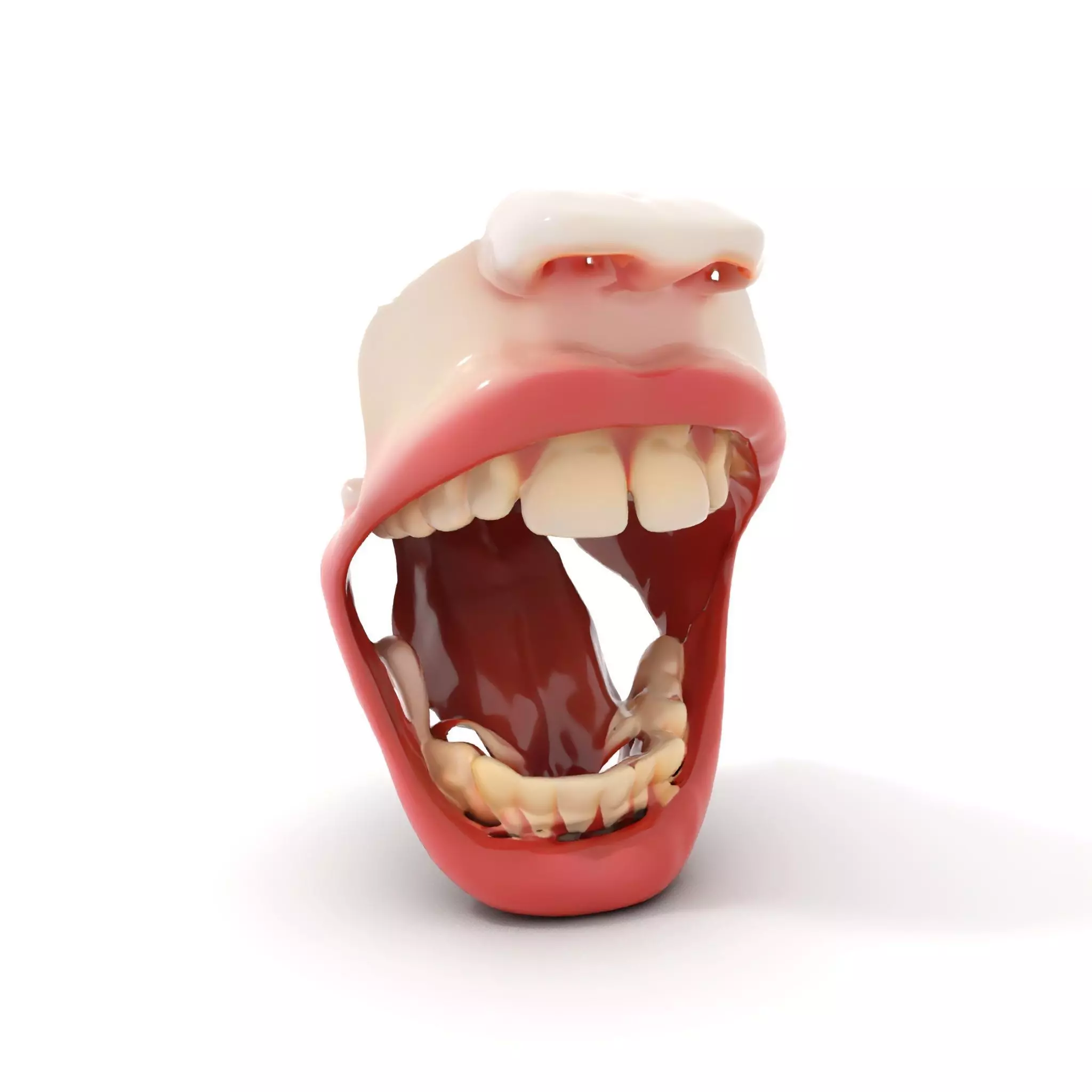 Realistic Human Mouth model pack Low-poly 3D model_0