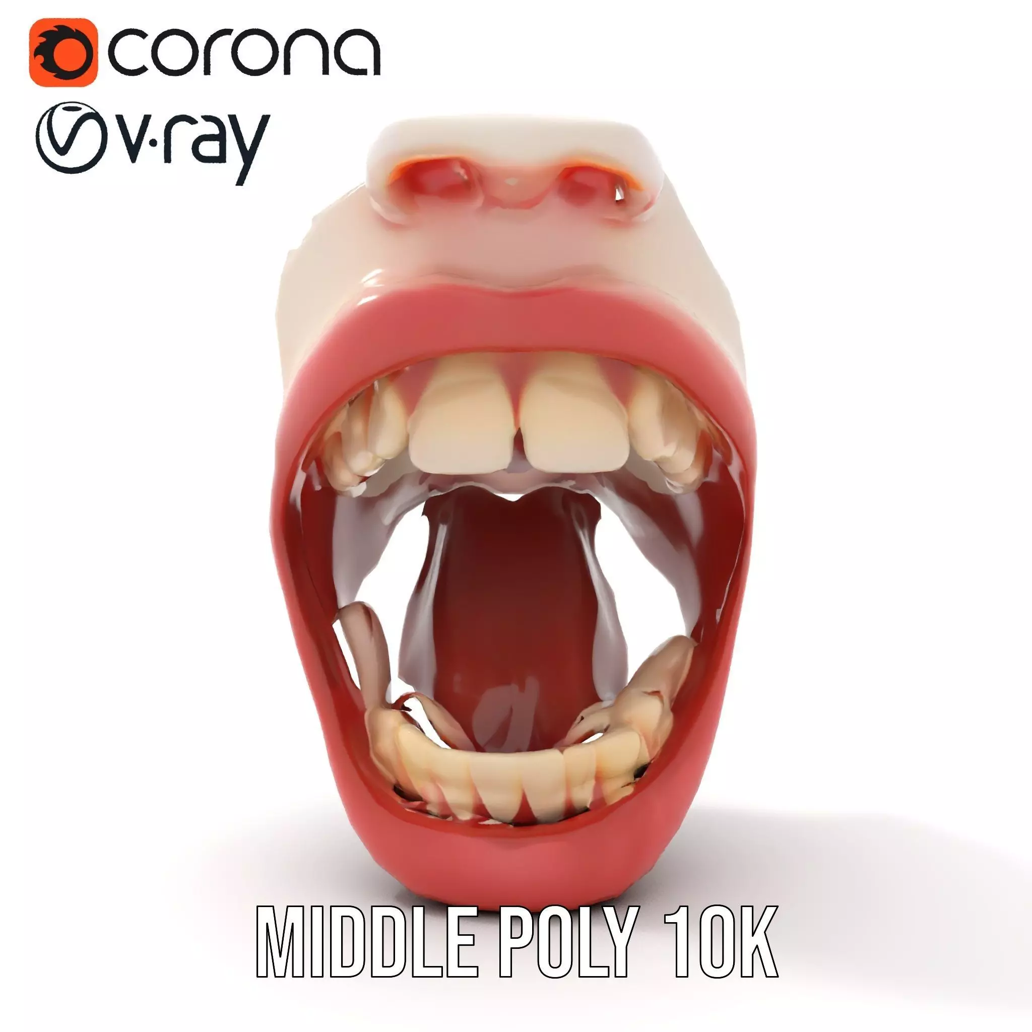 Realistic Human Mouth model pack Low-poly 3D model_11