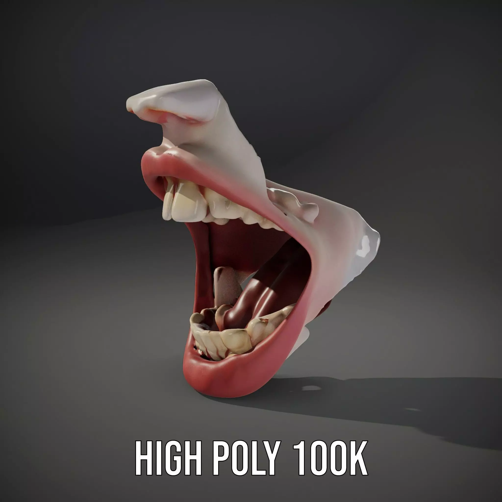Realistic Human Mouth model pack Low-poly 3D model_10