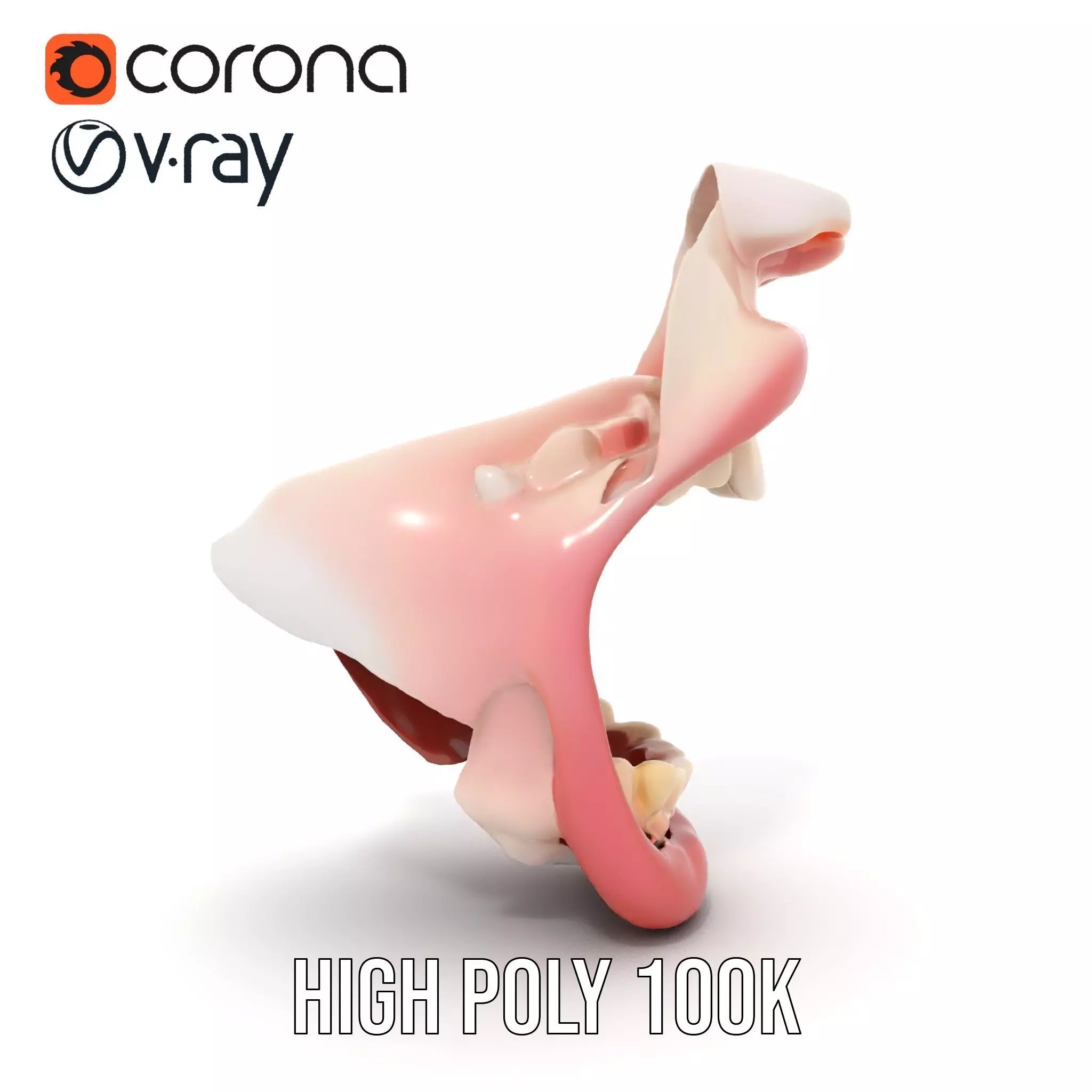 Realistic Human Mouth model pack Low-poly 3D model_26