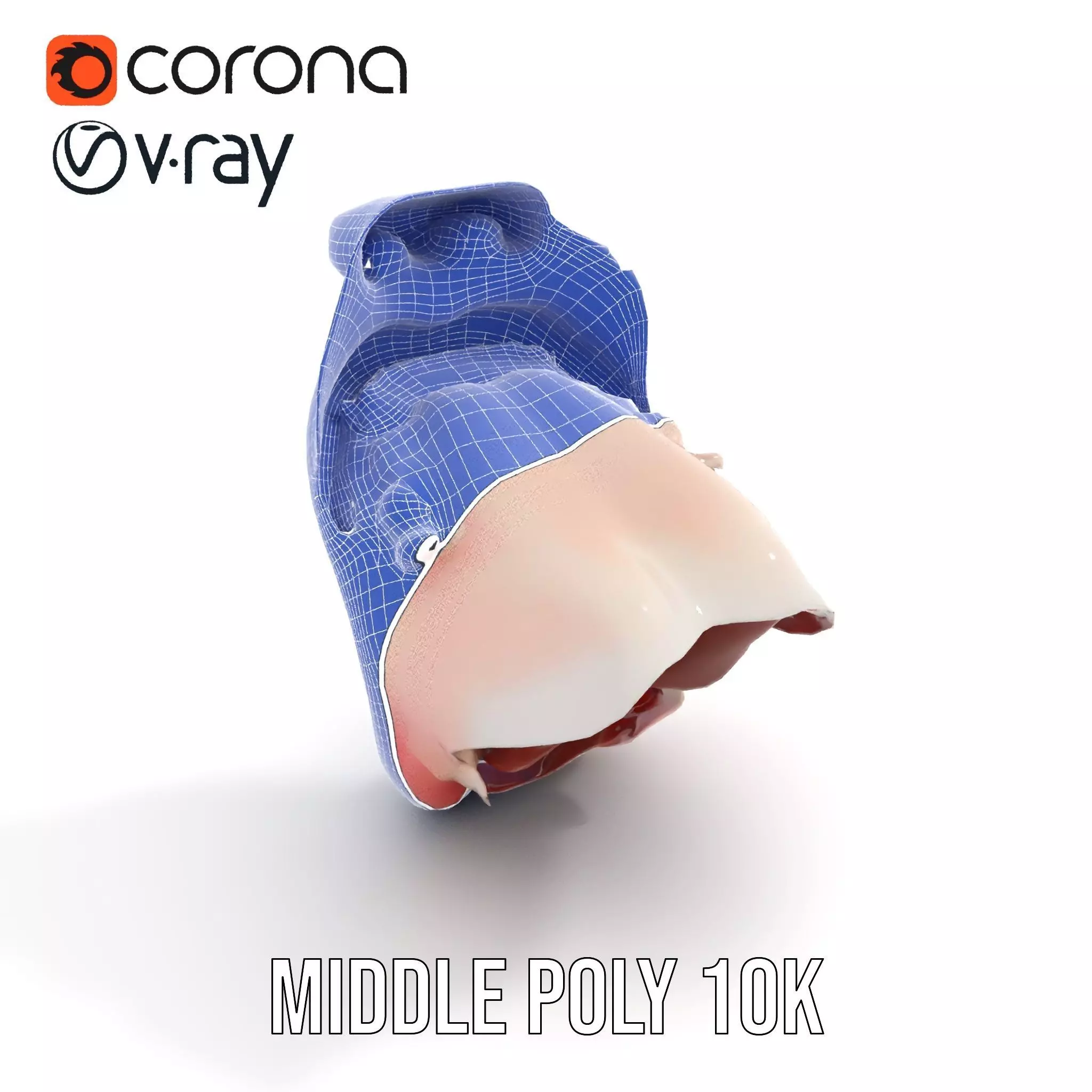 Realistic Human Mouth model pack Low-poly 3D model_30