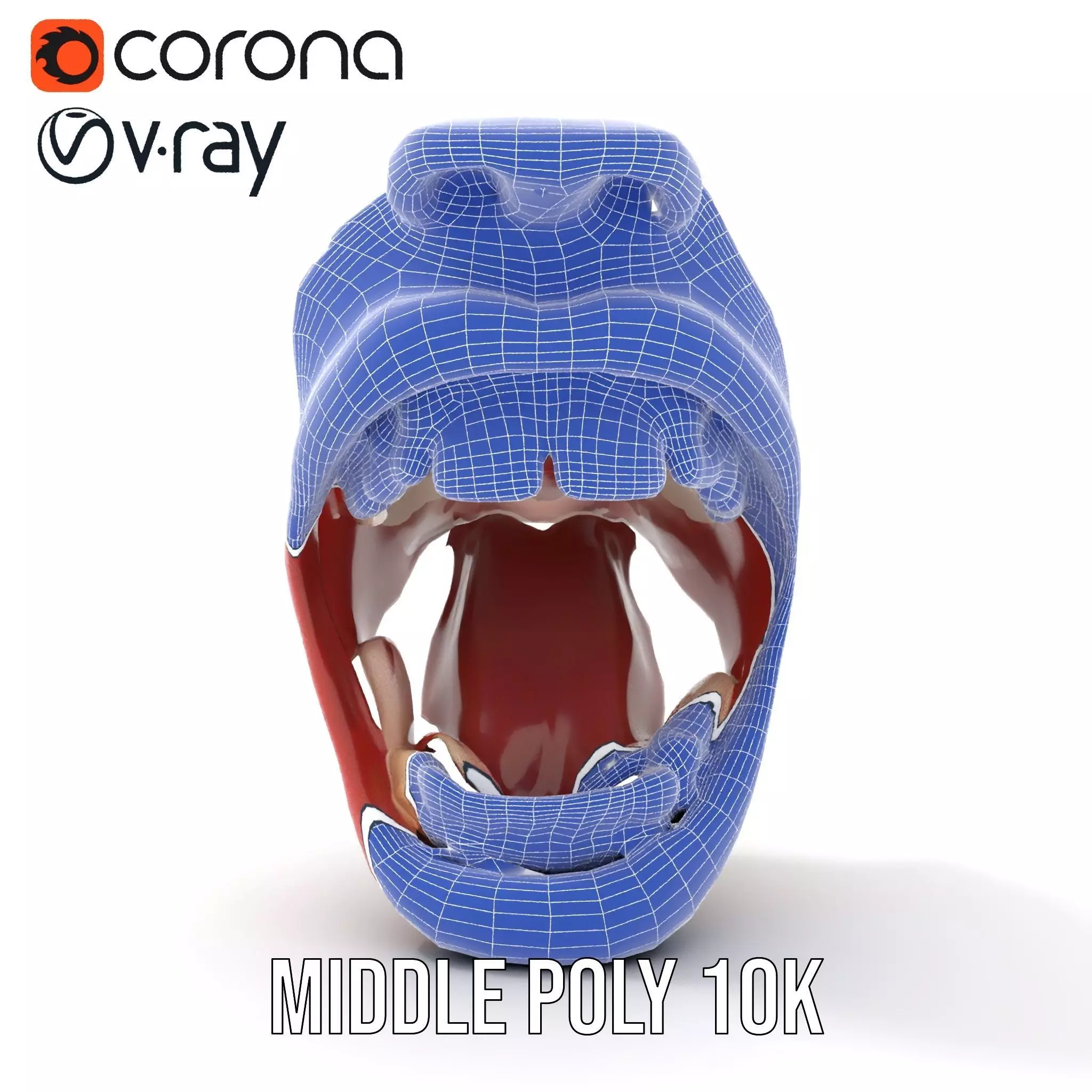 Realistic Human Mouth model pack Low-poly 3D model_21