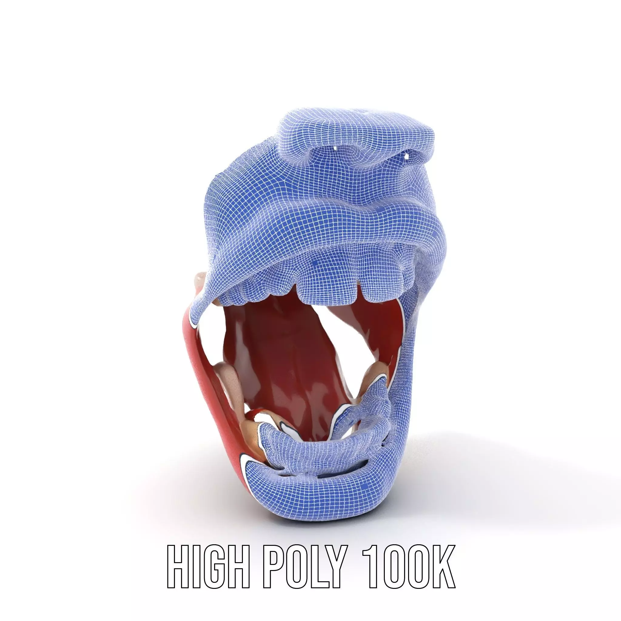 Realistic Human Mouth model pack Low-poly 3D model_4