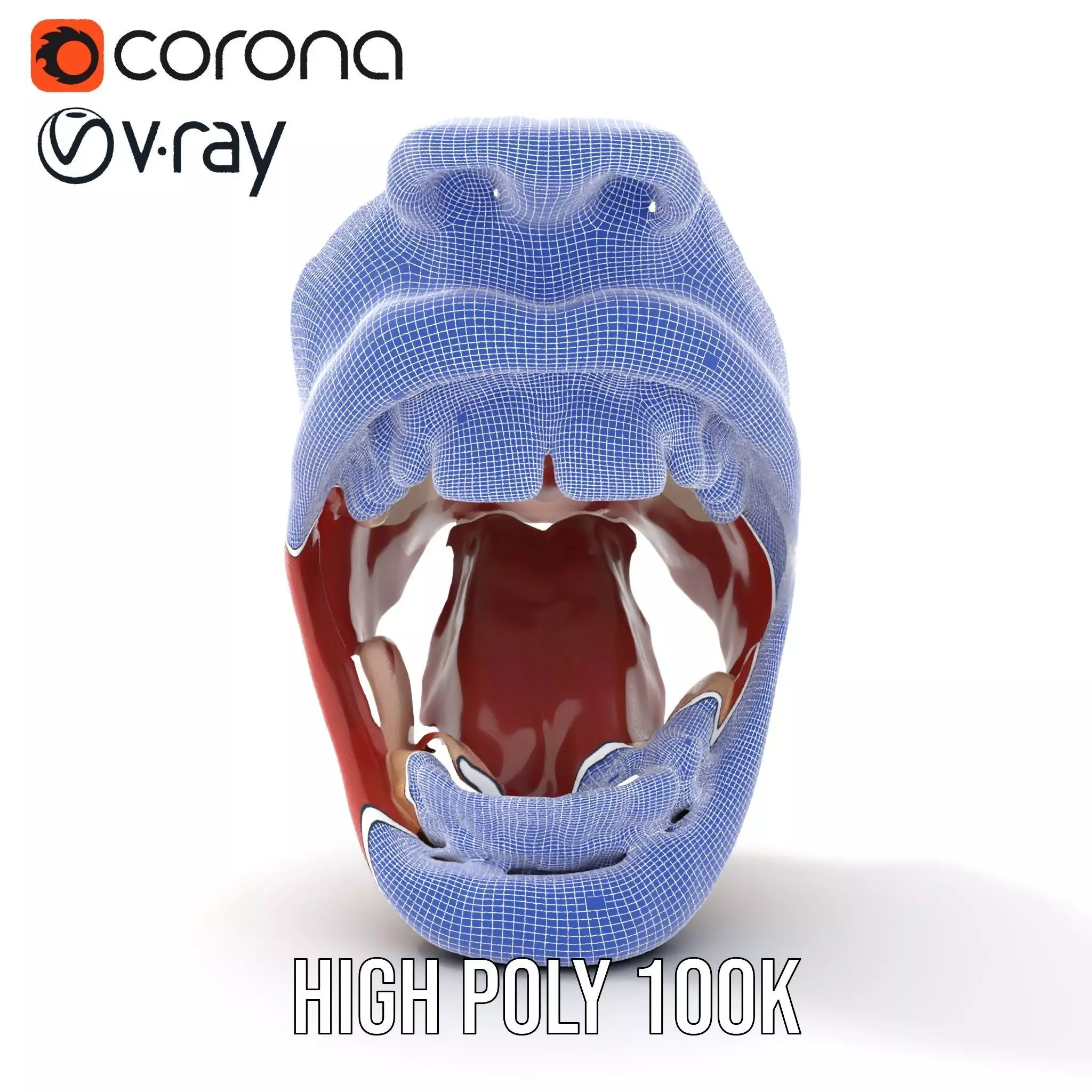 Realistic Human Mouth model pack Low-poly 3D model_33