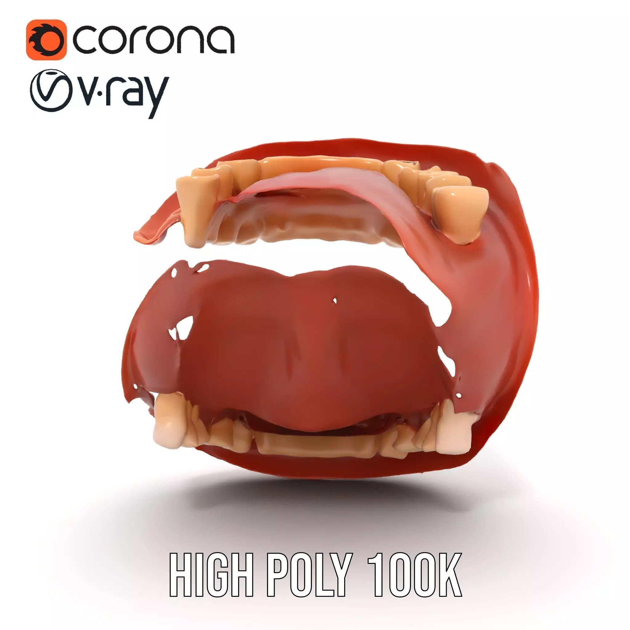 Realistic Mouth Anatomy model pack Low-poly 3D model_28