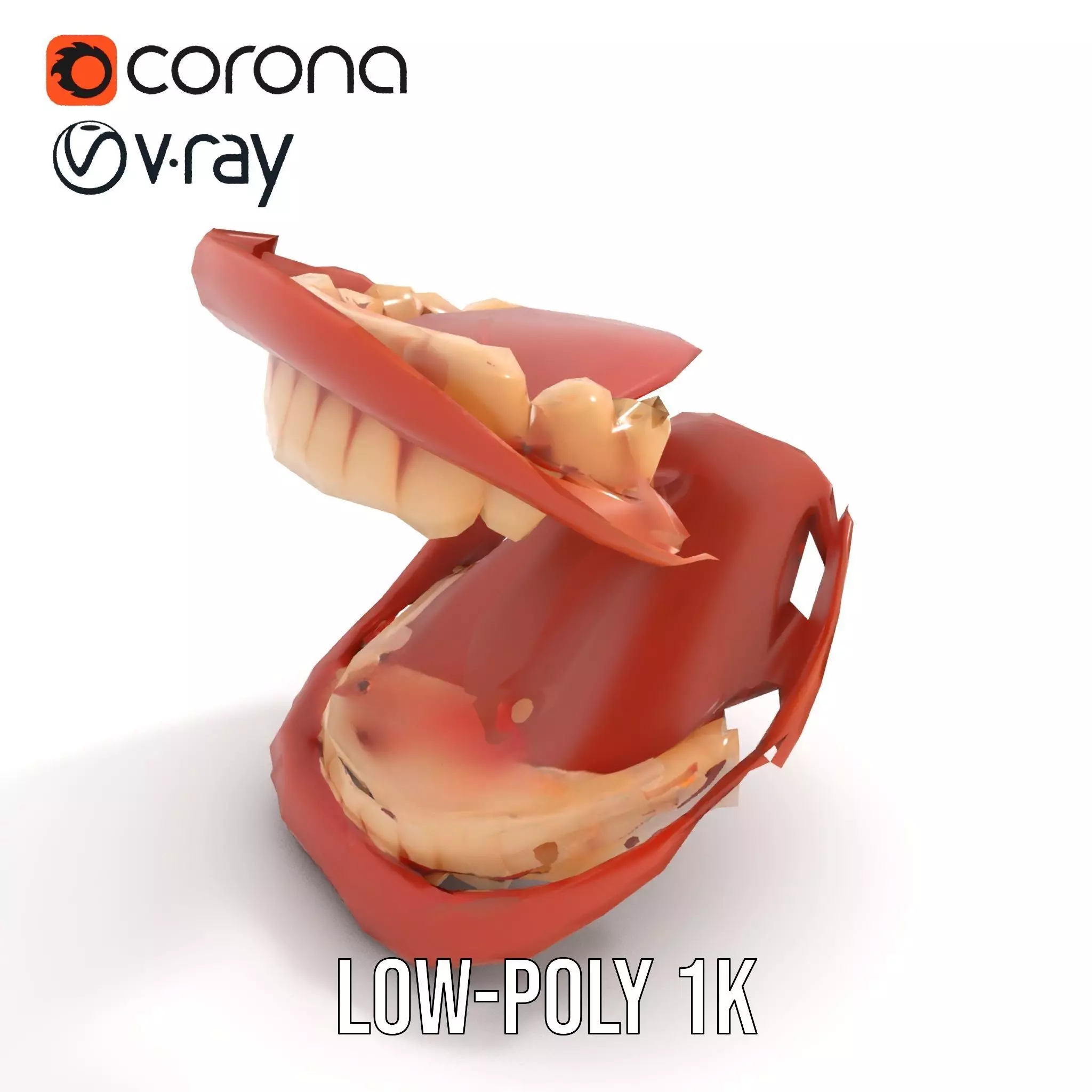 Realistic Mouth Anatomy model pack Low-poly 3D model_13