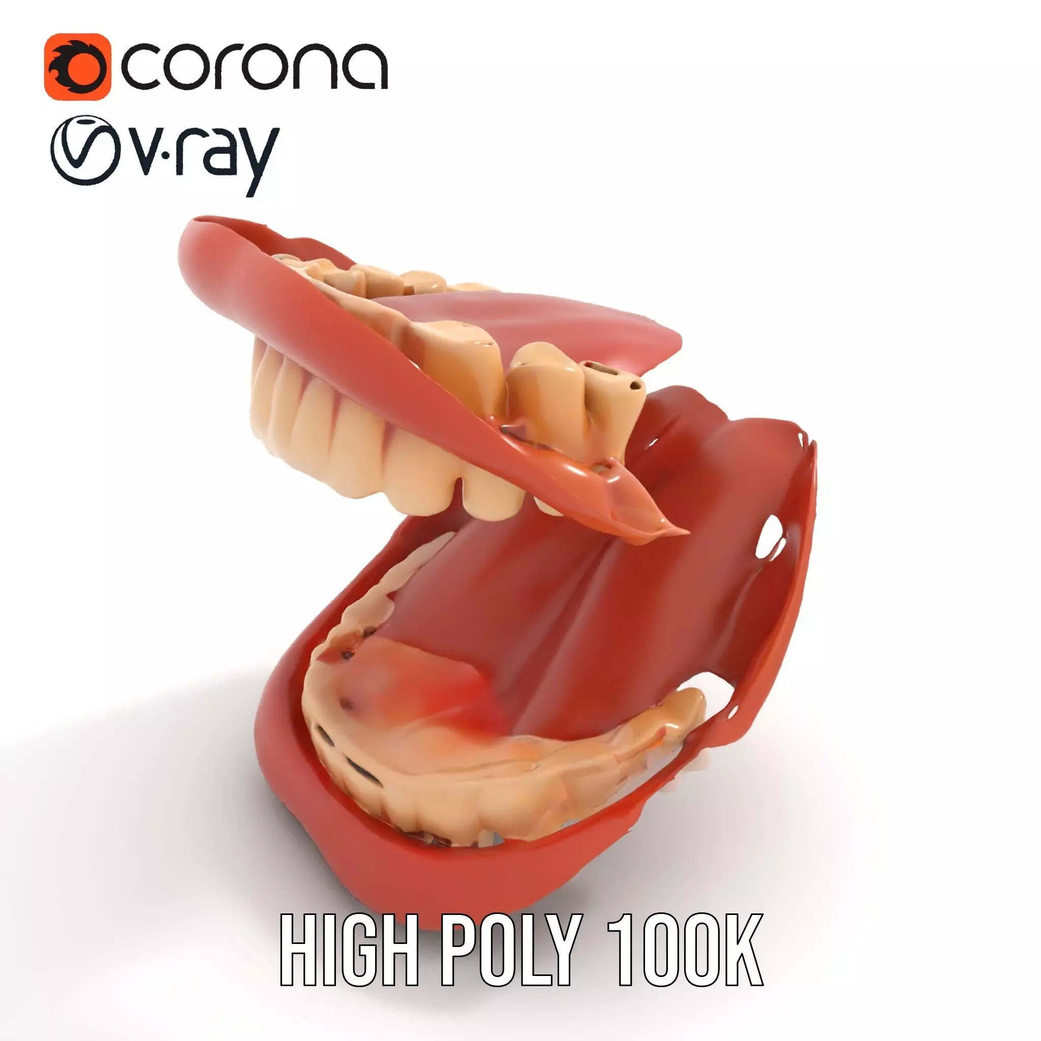 Realistic Mouth Anatomy model pack Low-poly 3D model_17