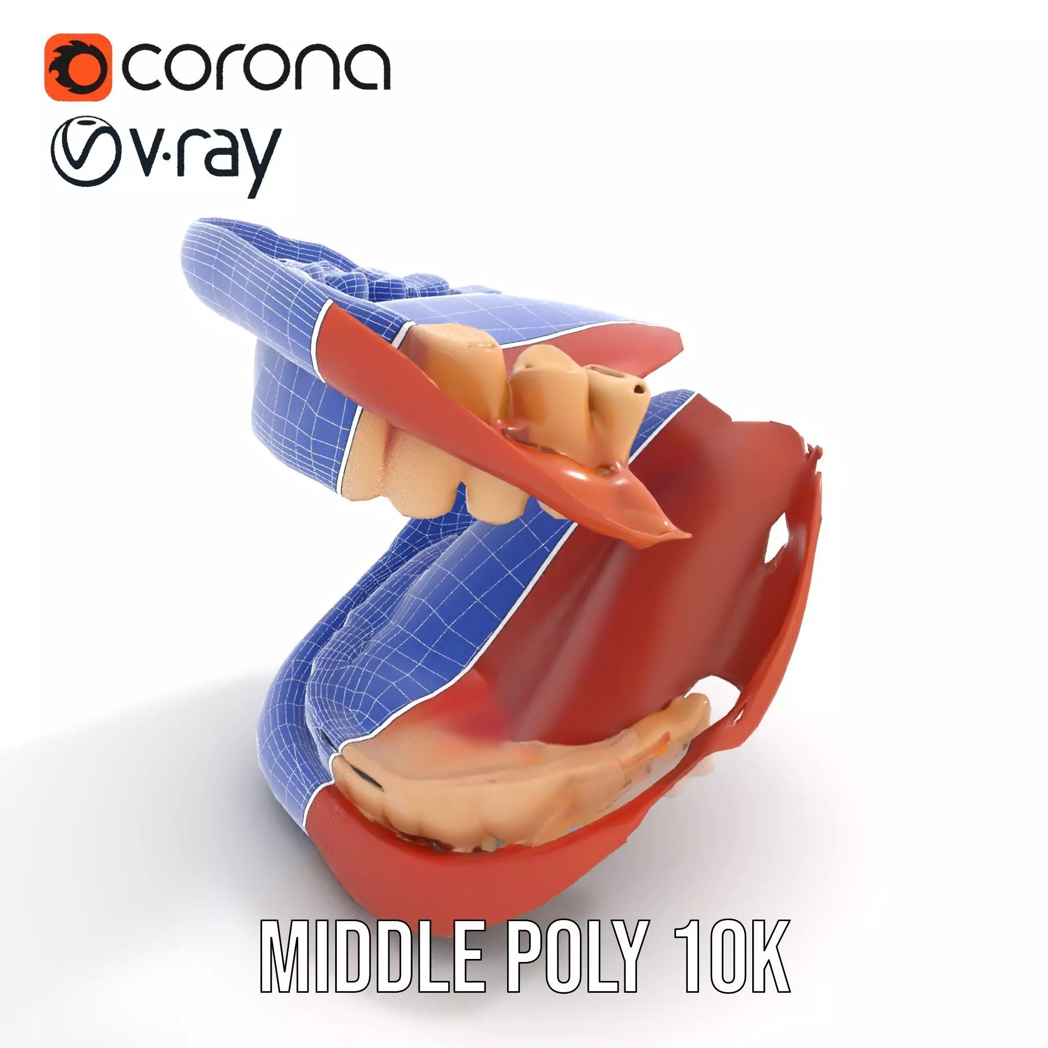 Realistic Mouth Anatomy model pack Low-poly 3D model_20