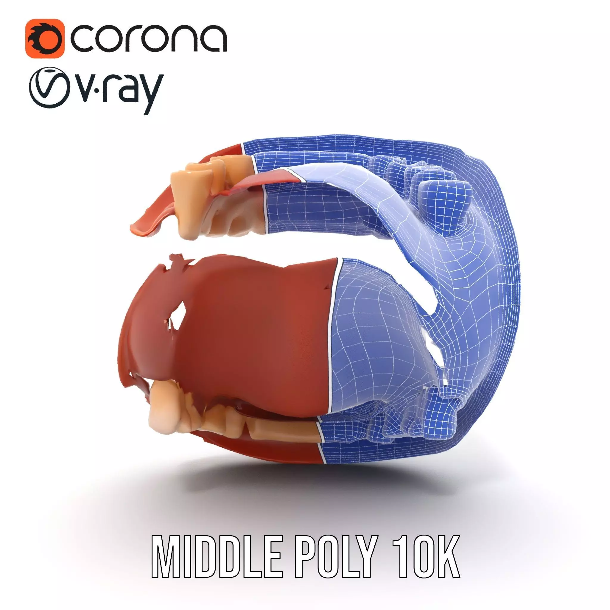 Realistic Mouth Anatomy model pack Low-poly 3D model_29