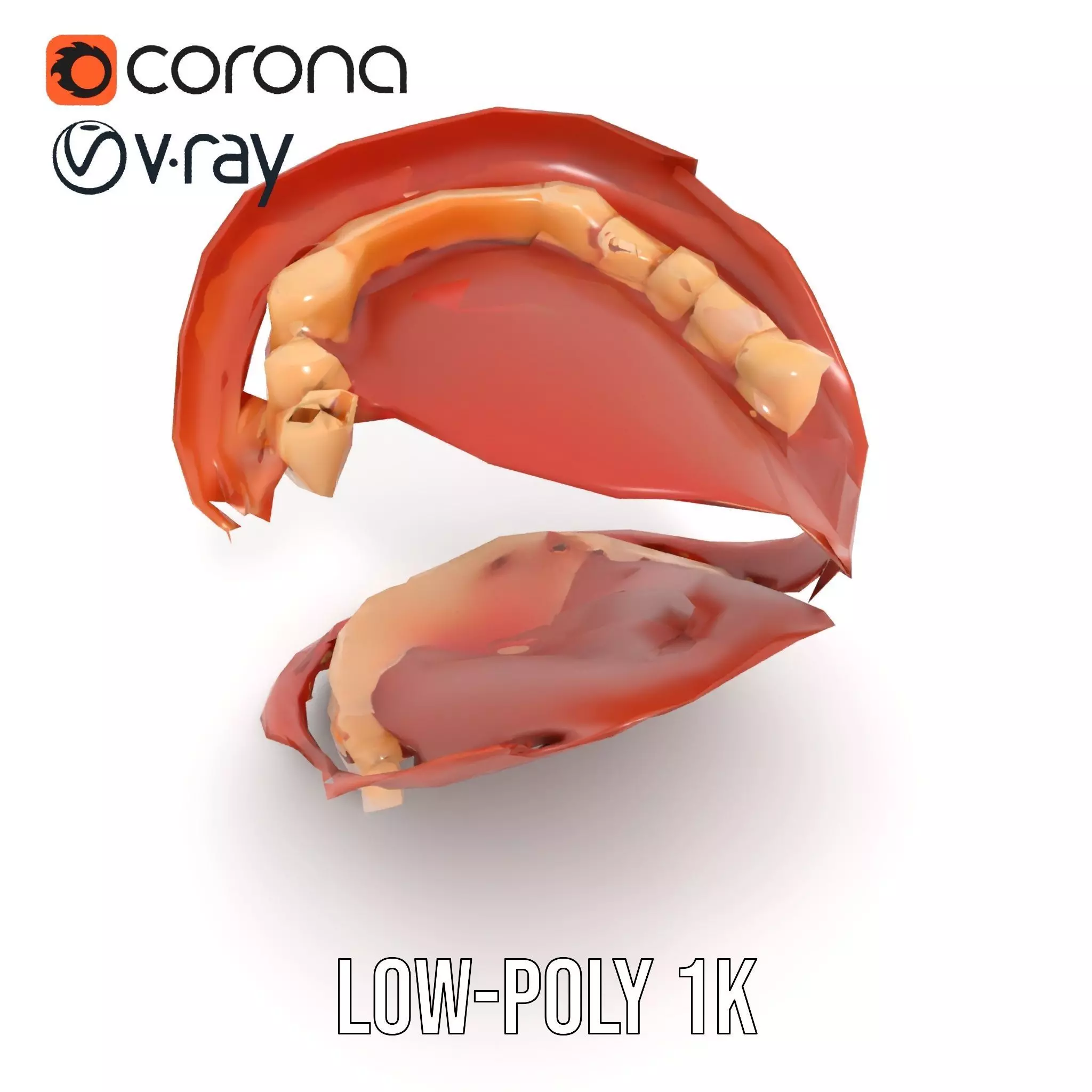 Realistic Mouth Anatomy model pack Low-poly 3D model_7