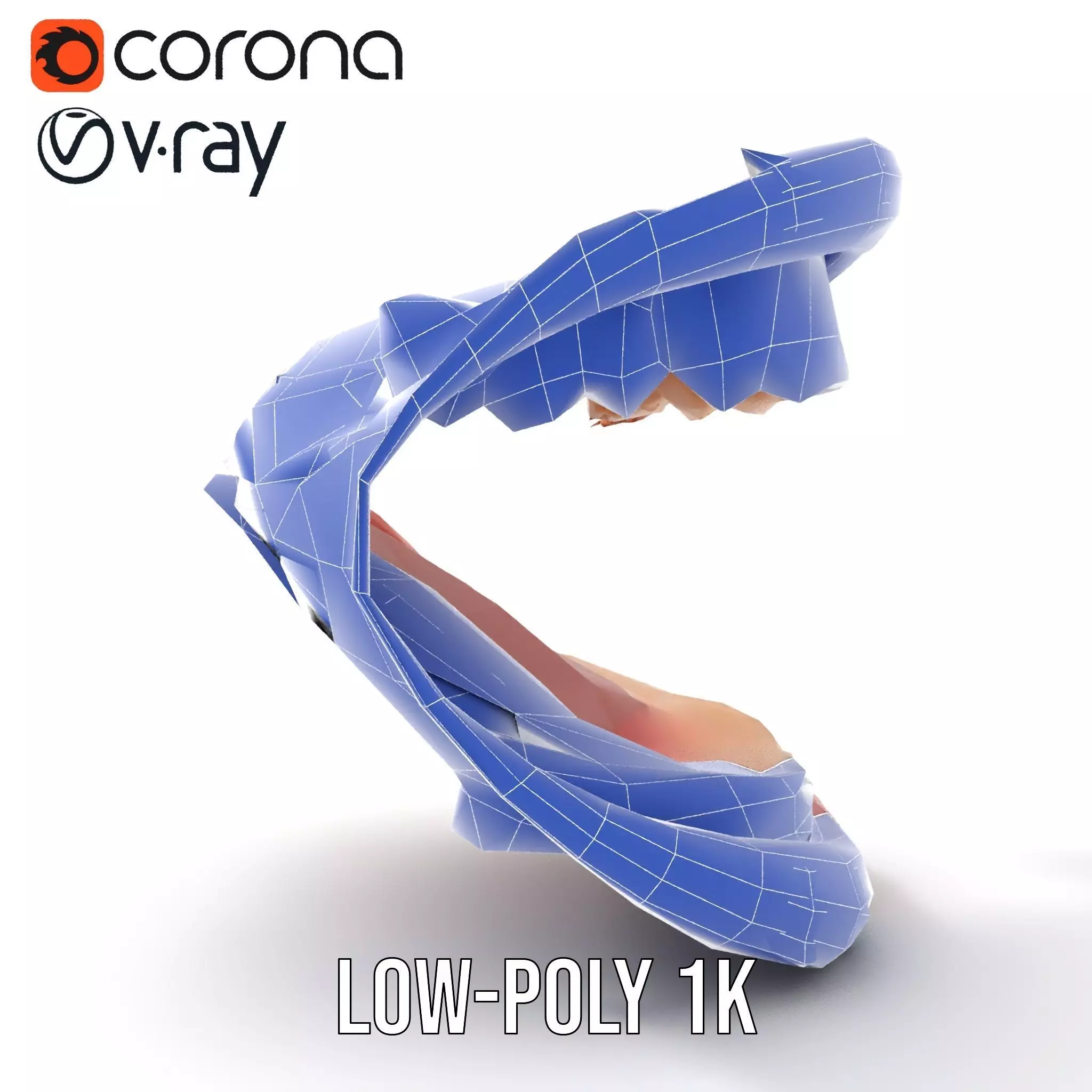 Realistic Mouth Anatomy model pack Low-poly 3D model_24