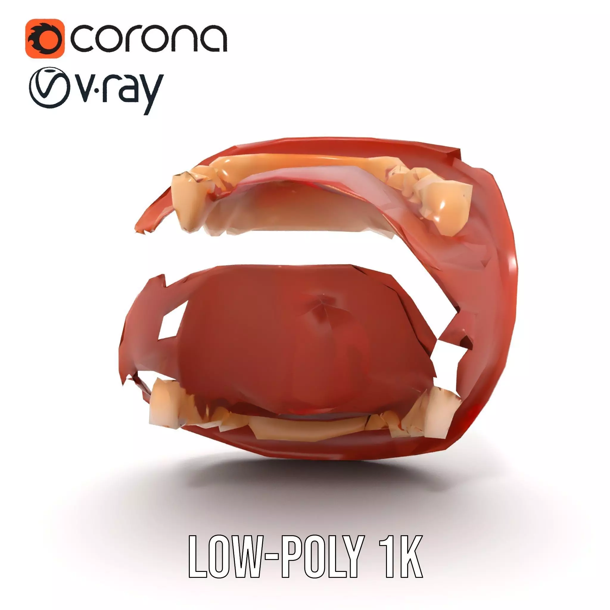 Realistic Mouth Anatomy model pack Low-poly 3D model_16