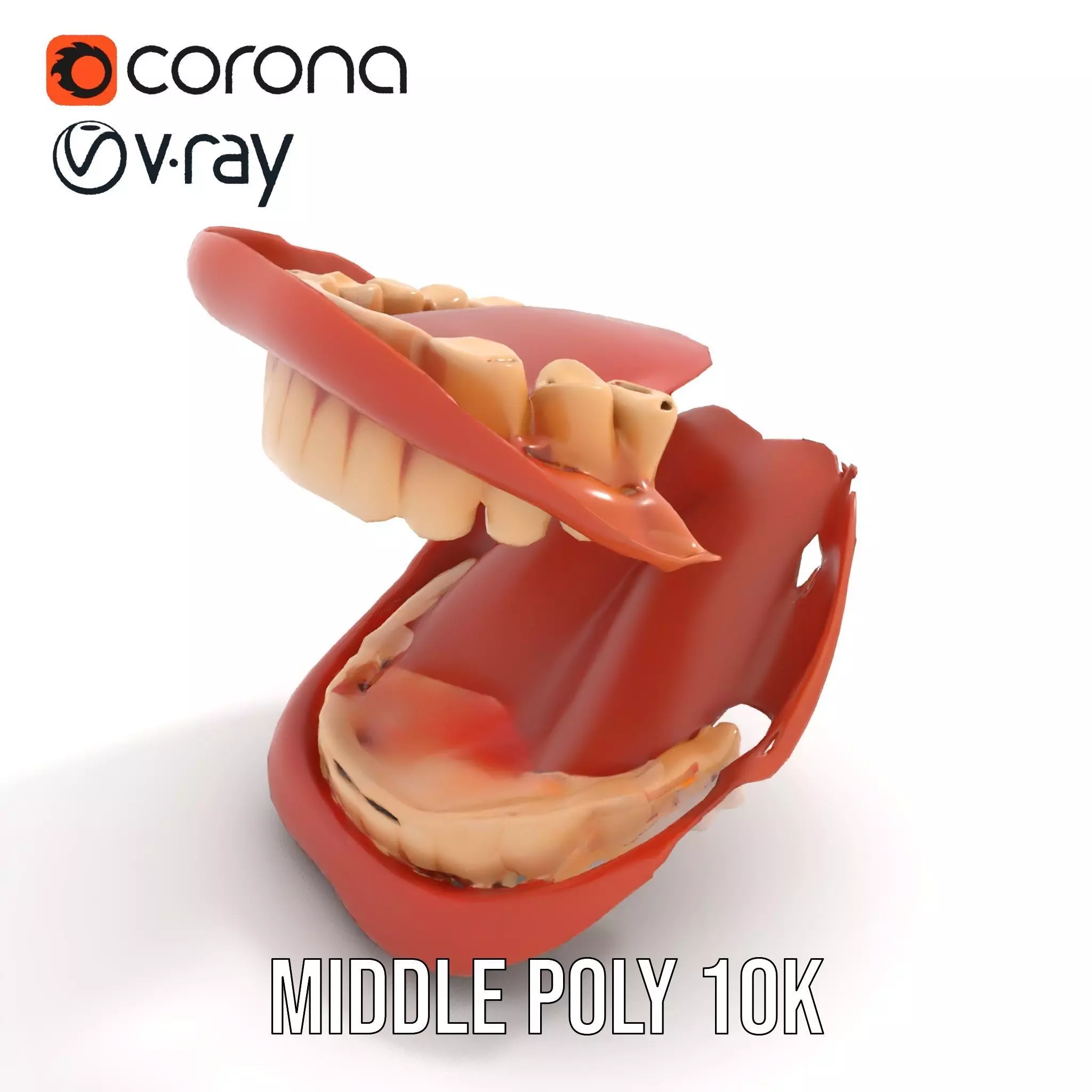 Realistic Mouth Anatomy model pack Low-poly 3D model_5