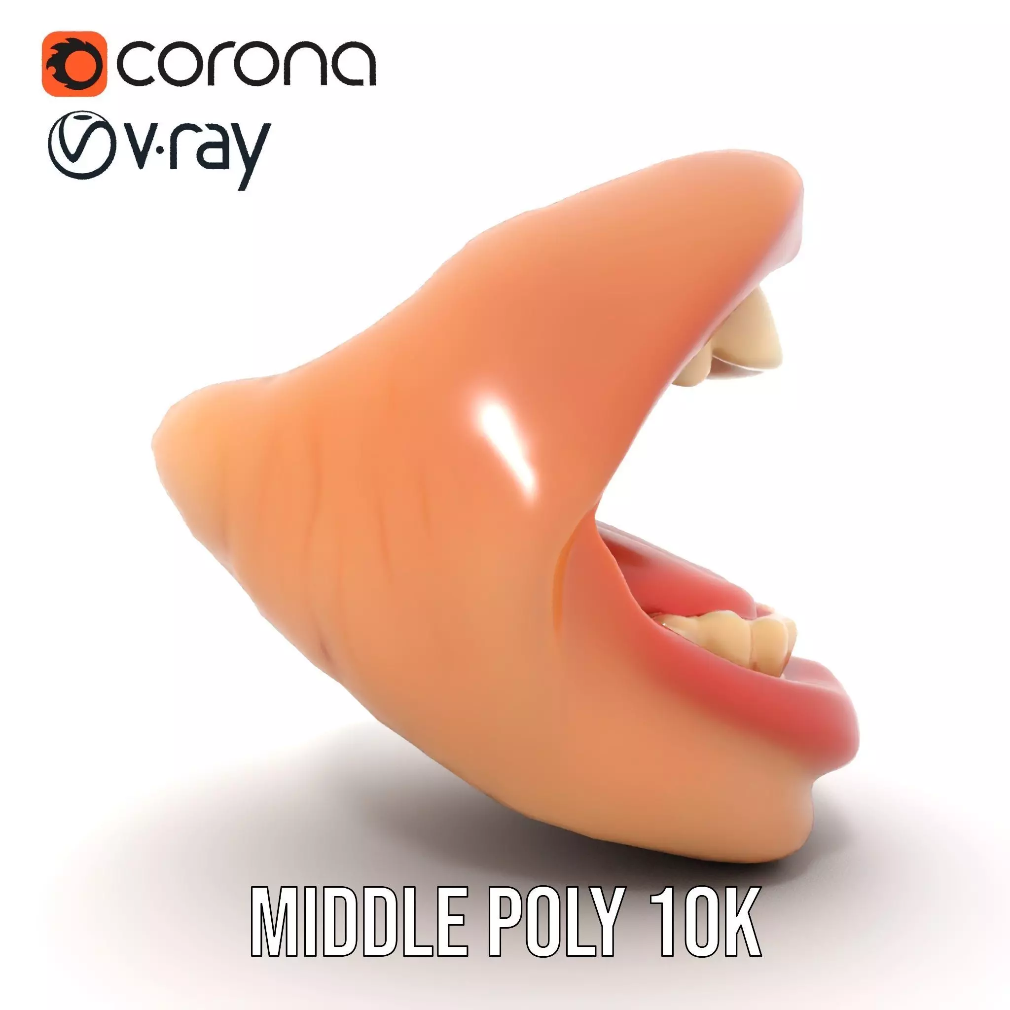 Realistic Human Mouth model pack Low-poly 3D model_6