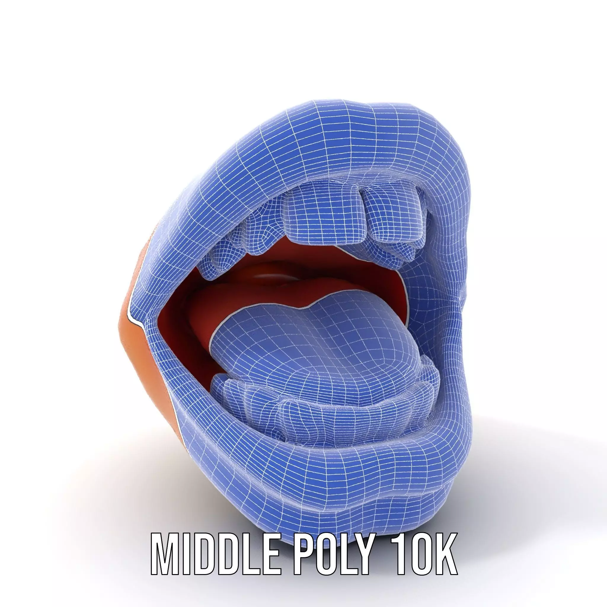 Realistic Human Mouth model pack Low-poly 3D model_16