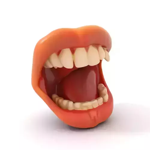 Realistic Open Mouth model pack
