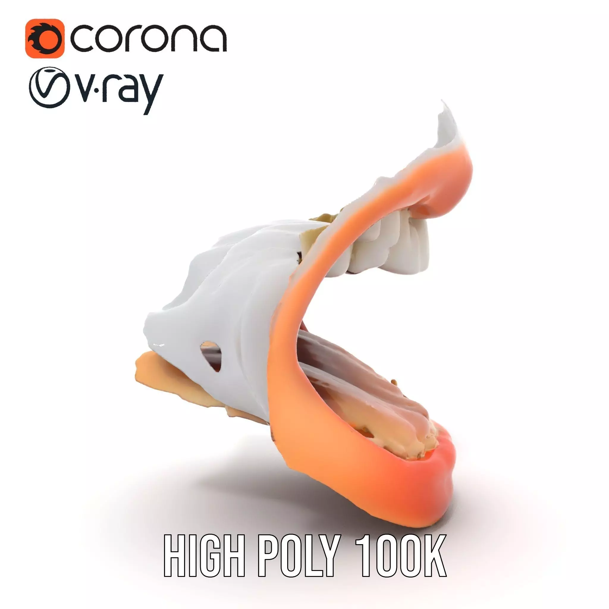 Realistic Human Mouth model pack Low-poly 3D model_26