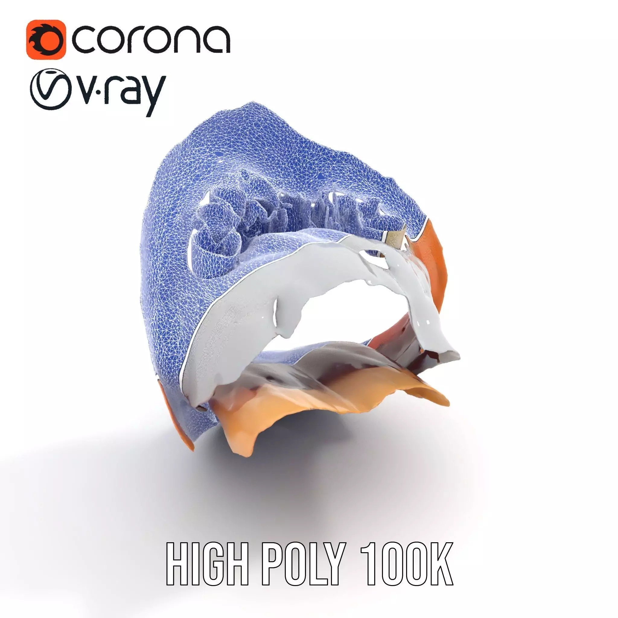 Realistic Human Mouth model pack Low-poly 3D model_28