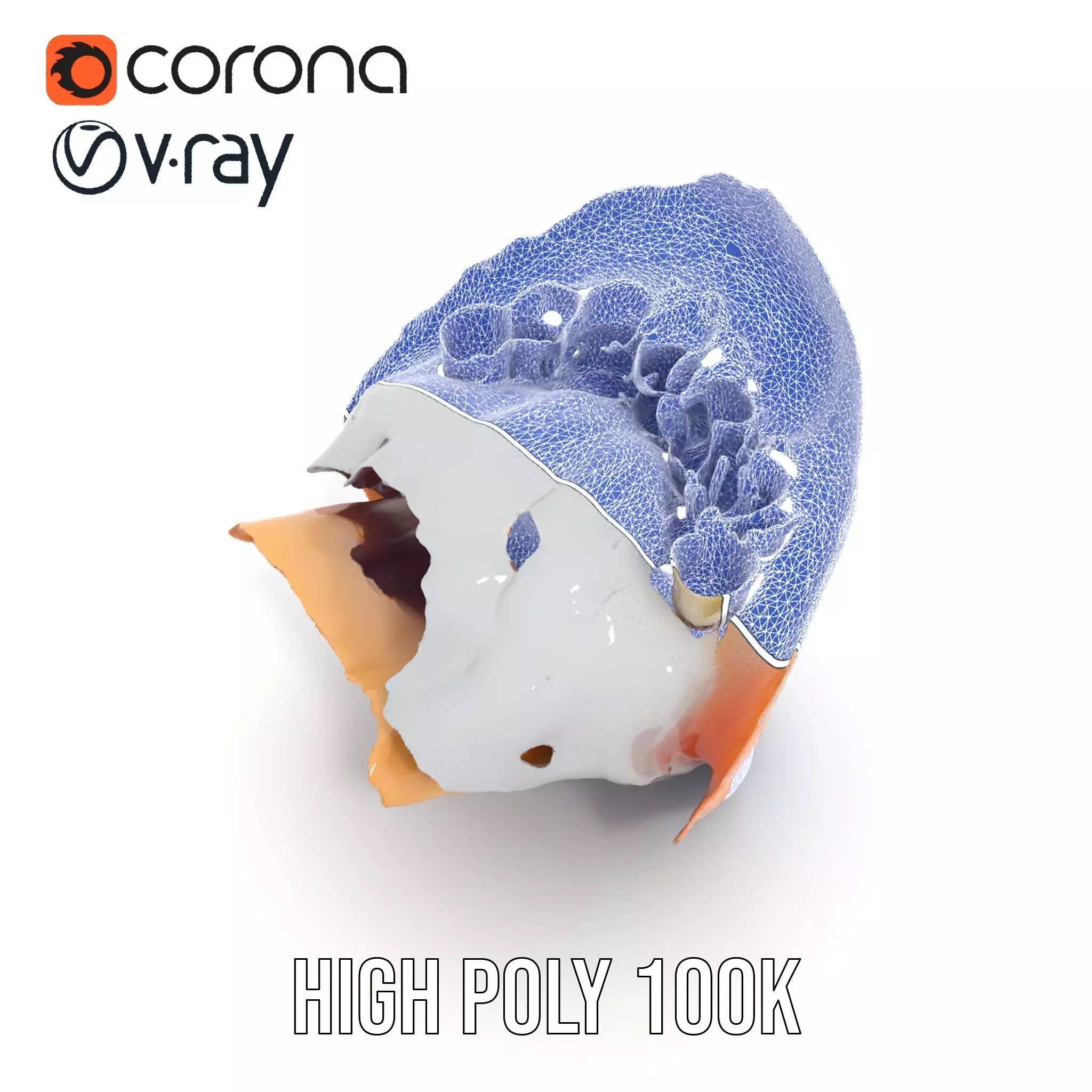 Realistic Human Mouth model pack Low-poly 3D model_31