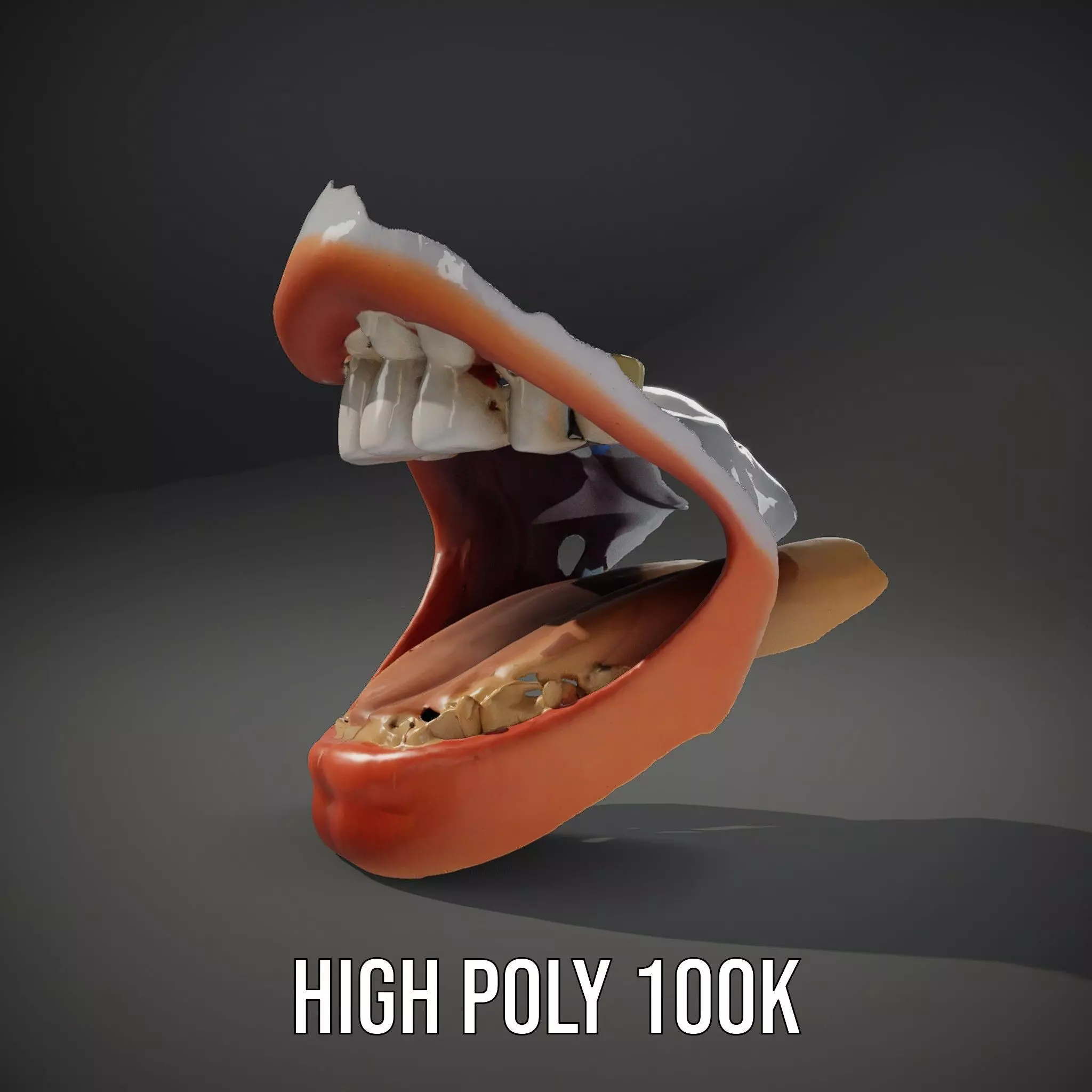 Realistic Human Mouth model pack Low-poly 3D model_8