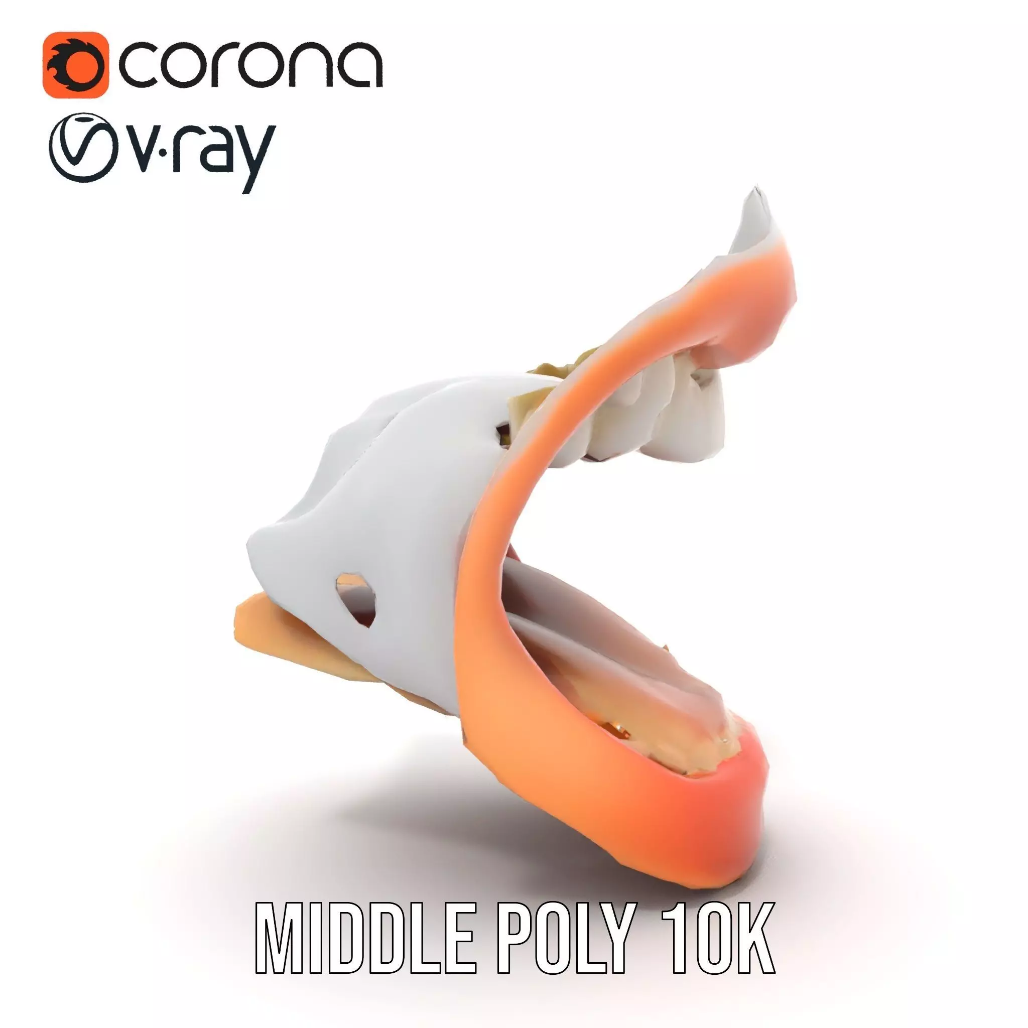 Realistic Human Mouth model pack Low-poly 3D model_13