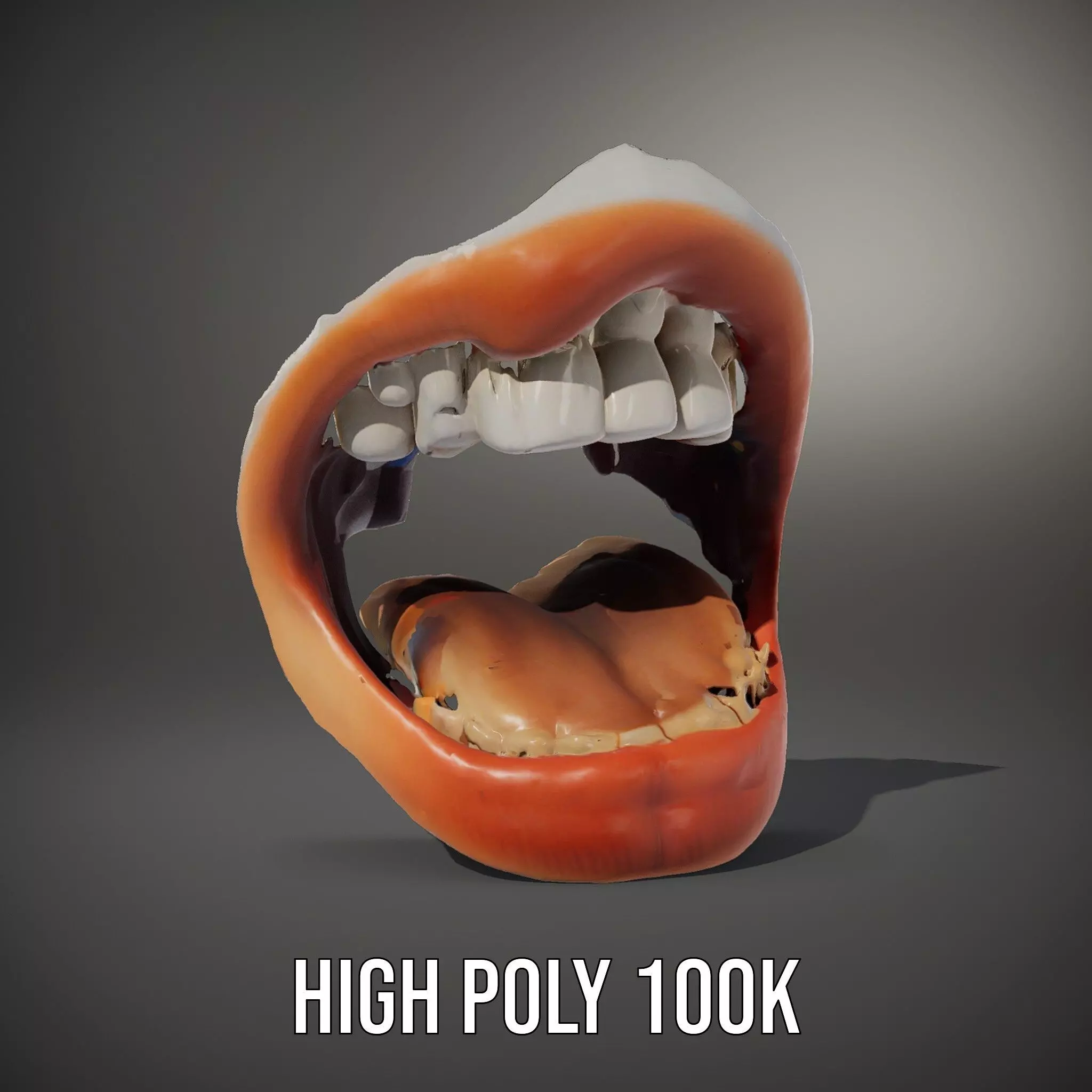 Realistic Human Mouth model pack Low-poly 3D model_10