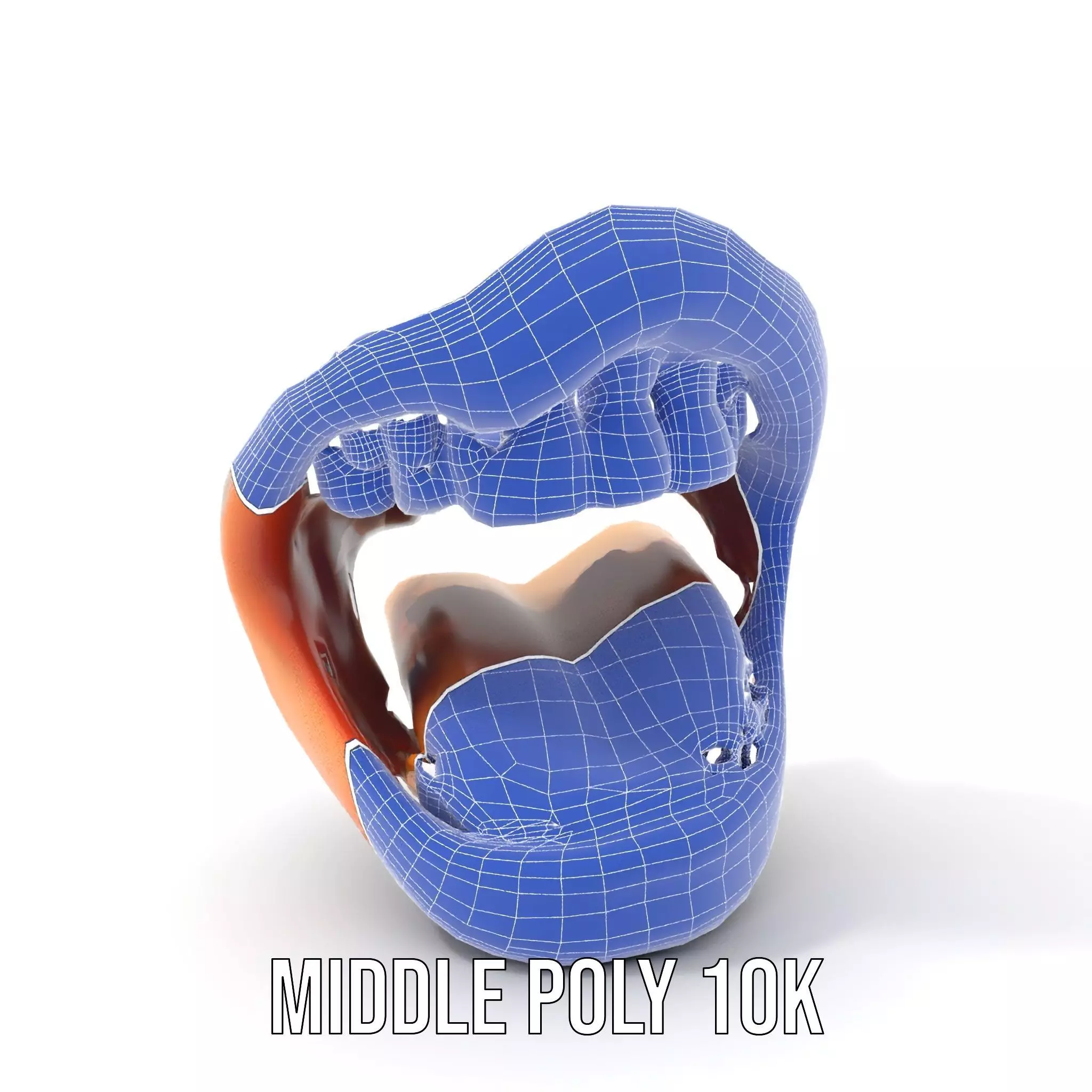 Realistic Human Mouth model pack Low-poly 3D model_18