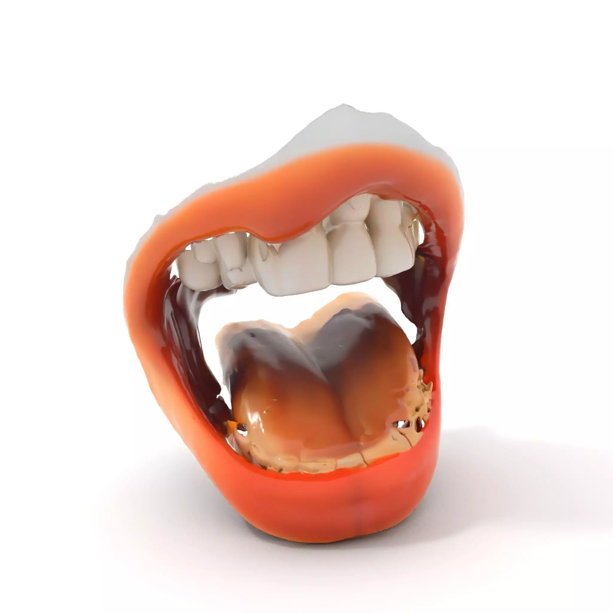 Realistic Human Mouth model pack Low-poly 3D model_0