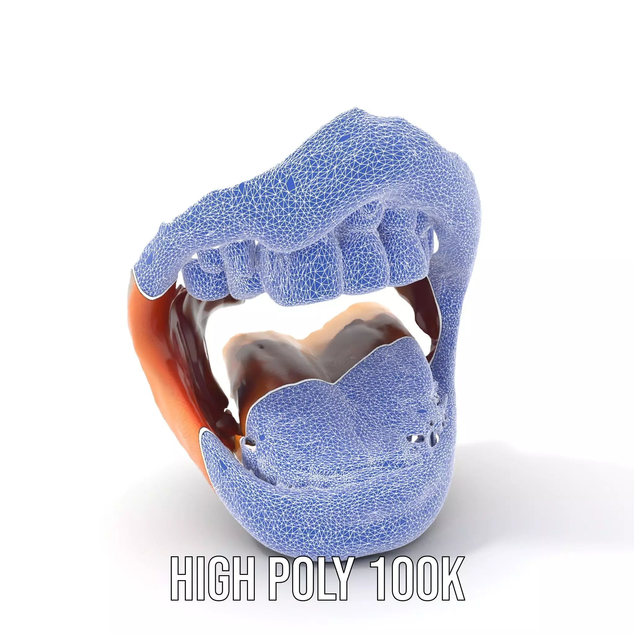 Realistic Human Mouth model pack Low-poly 3D model_4