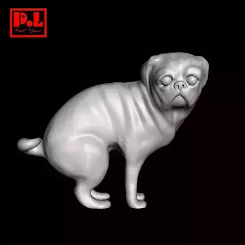 Dog - Pug v2