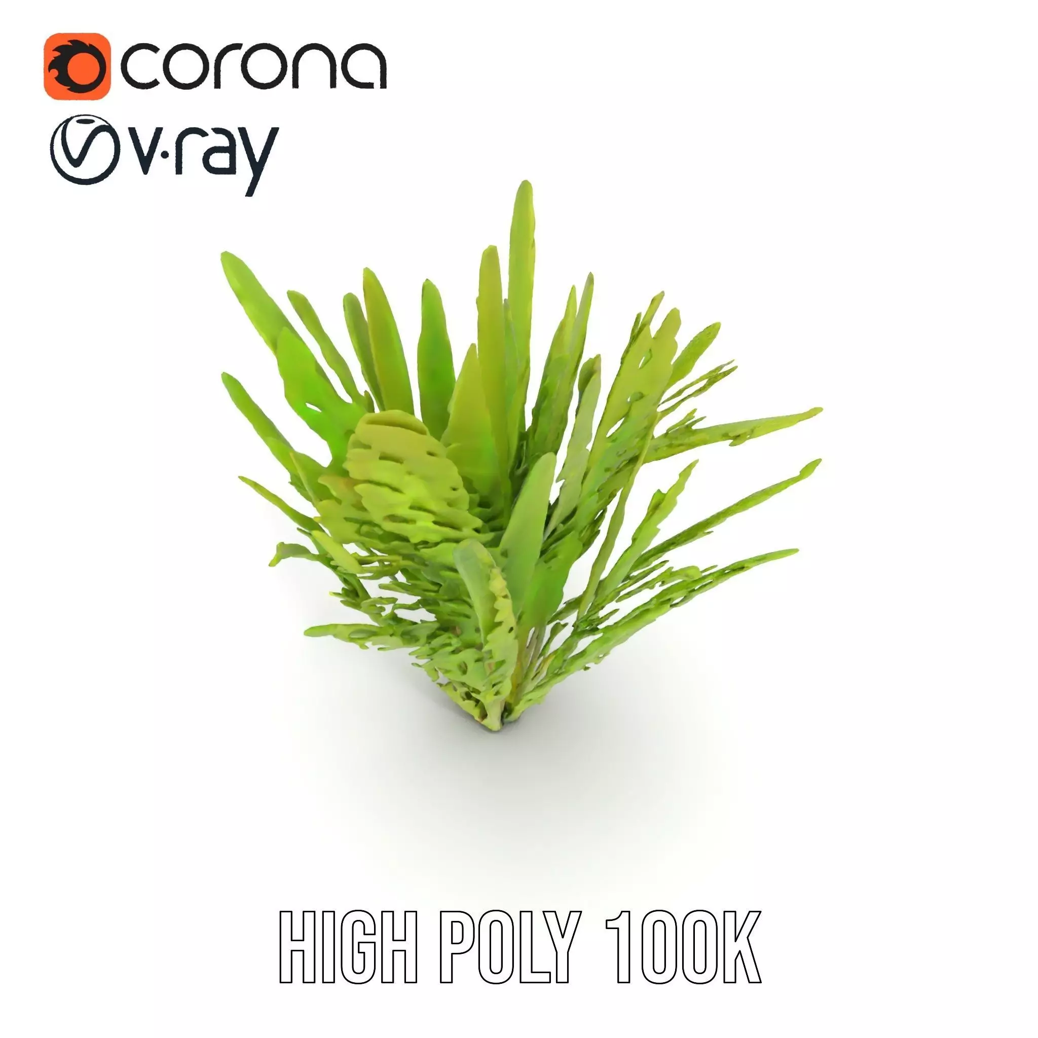 Vibrant Grass model pack Low-poly 3D model_32