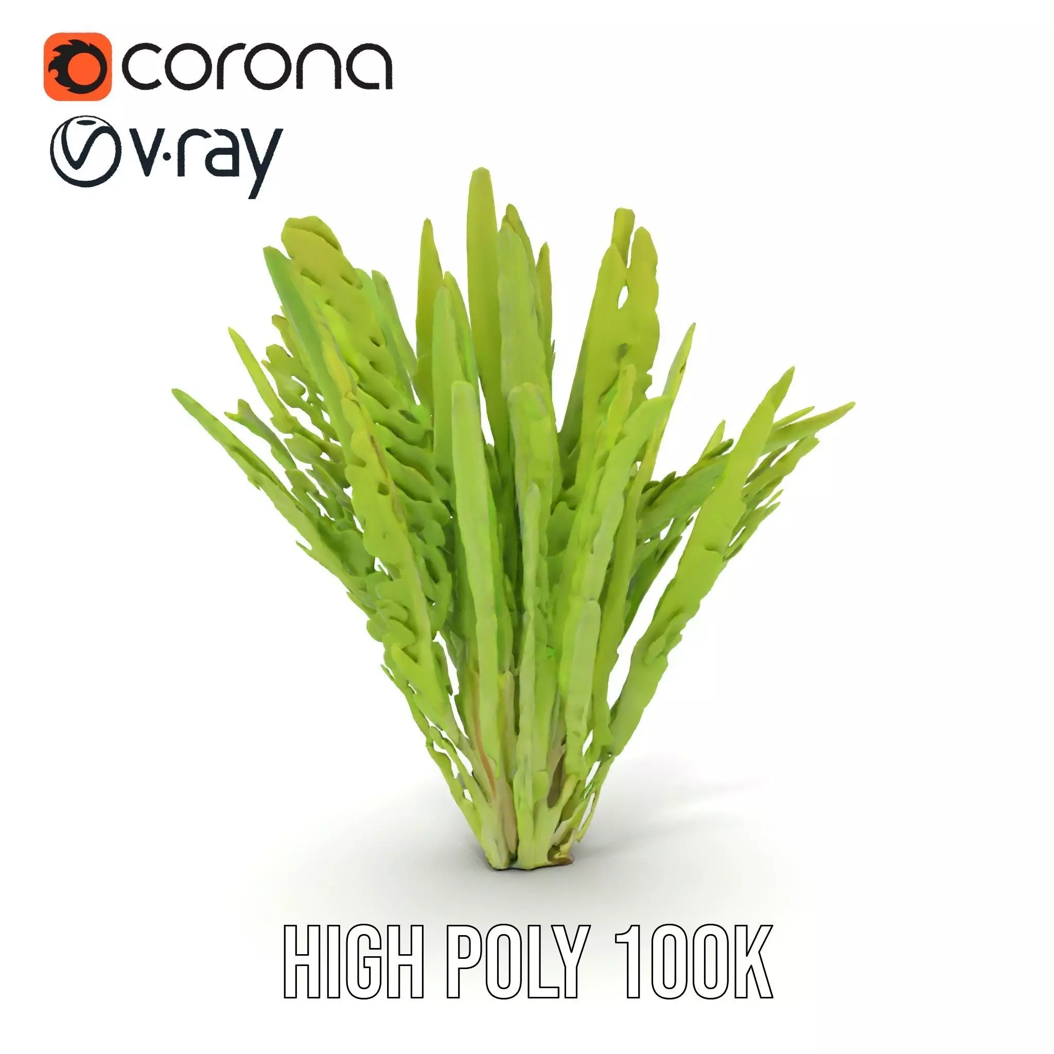 Vibrant Grass model pack Low-poly 3D model_11