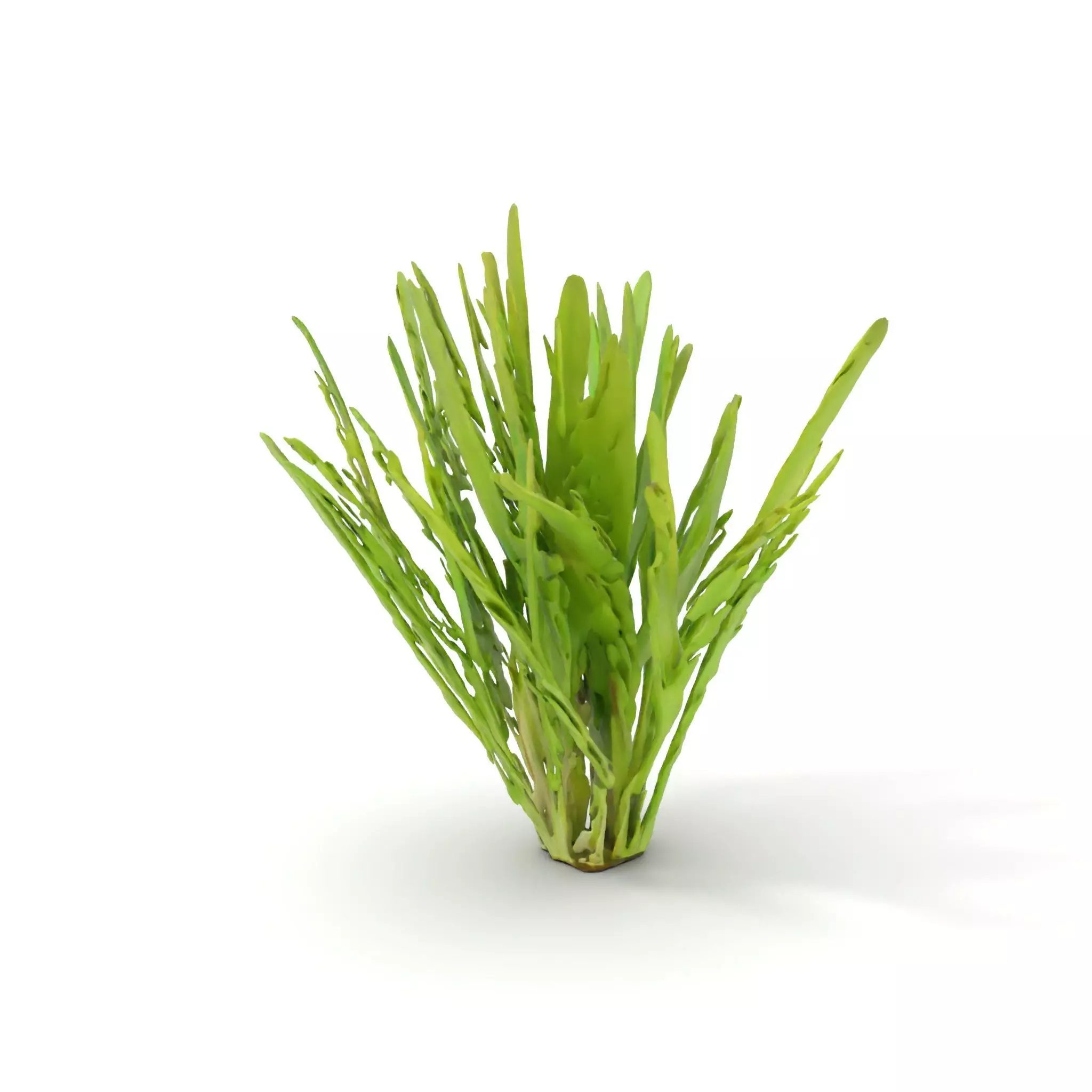 Vibrant Grass model pack Low-poly 3D model_5