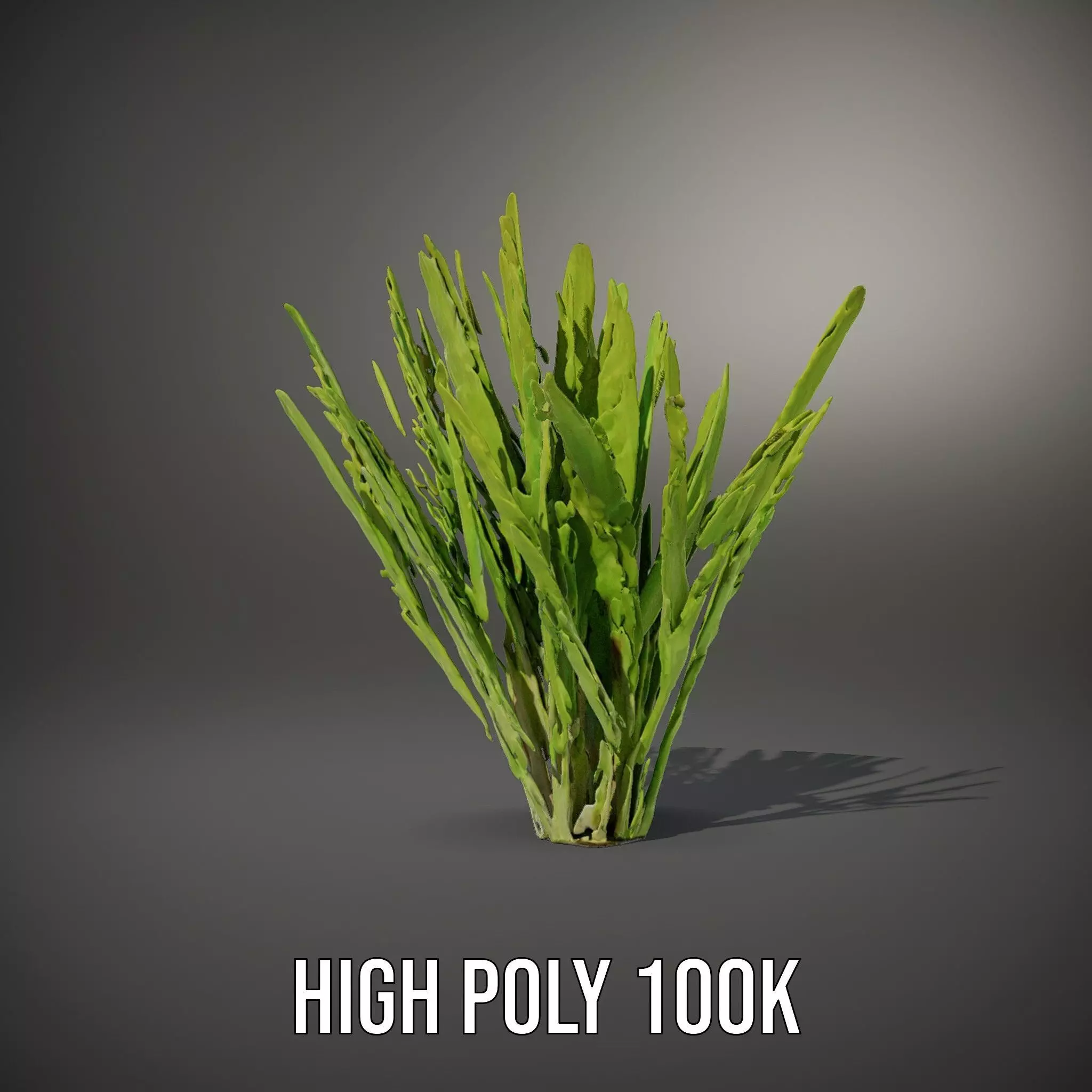 Vibrant Grass model pack Low-poly 3D model_10