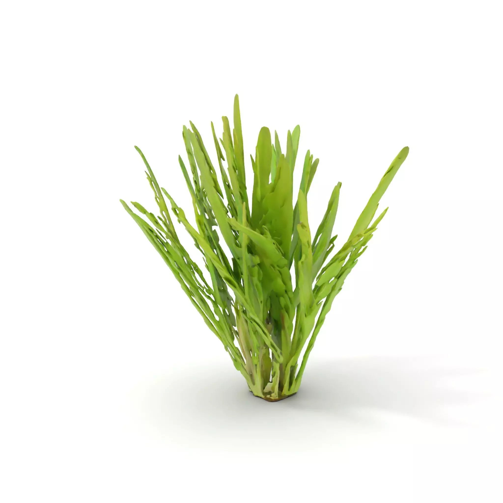 Vibrant Grass model pack Low-poly 3D model_14