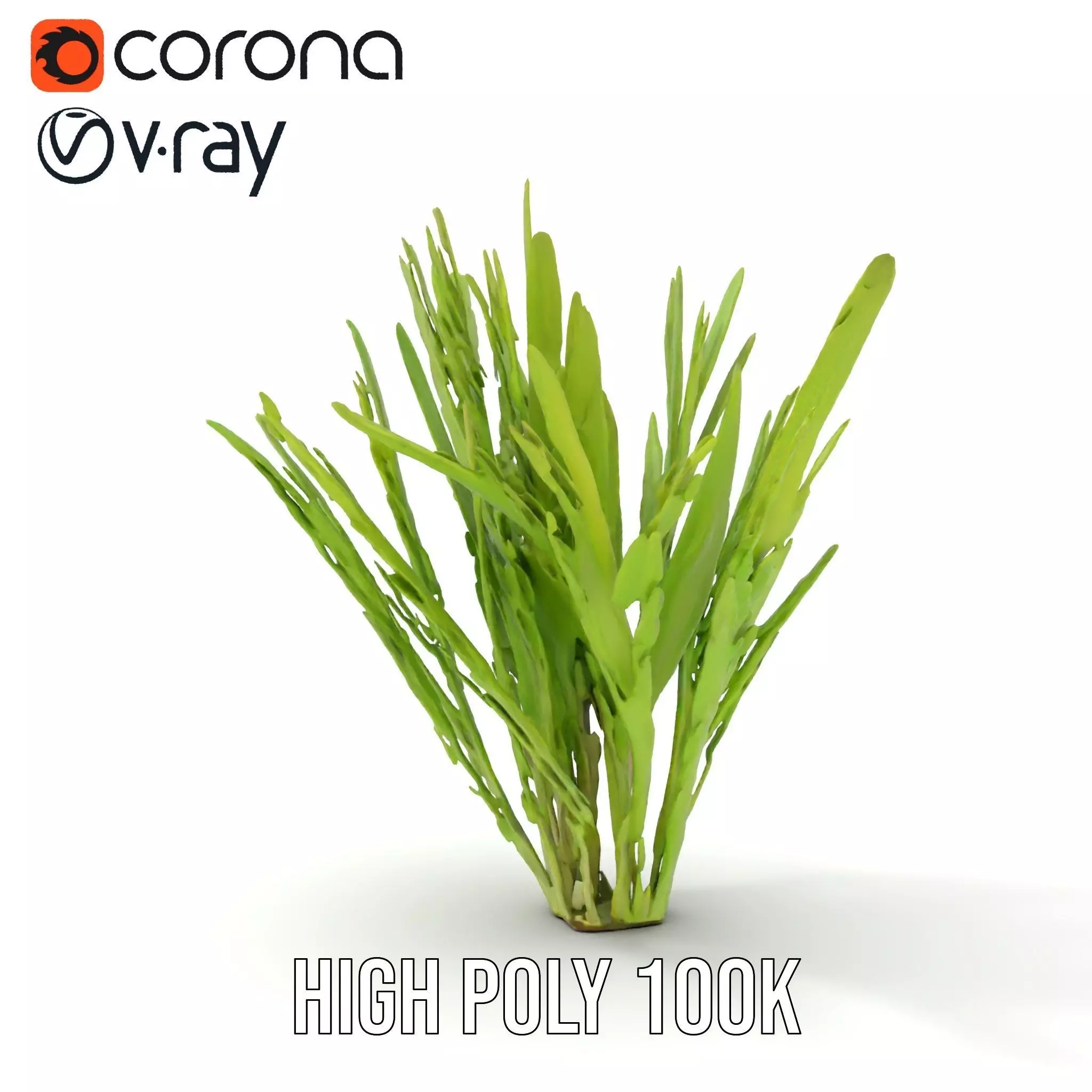 Vibrant Grass model pack Low-poly 3D model_6