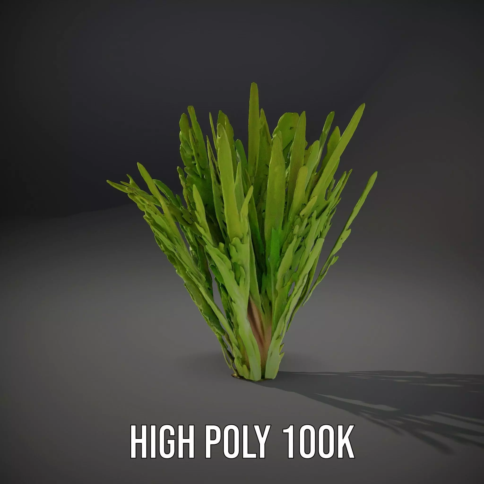 Vibrant Grass model pack Low-poly 3D model_8