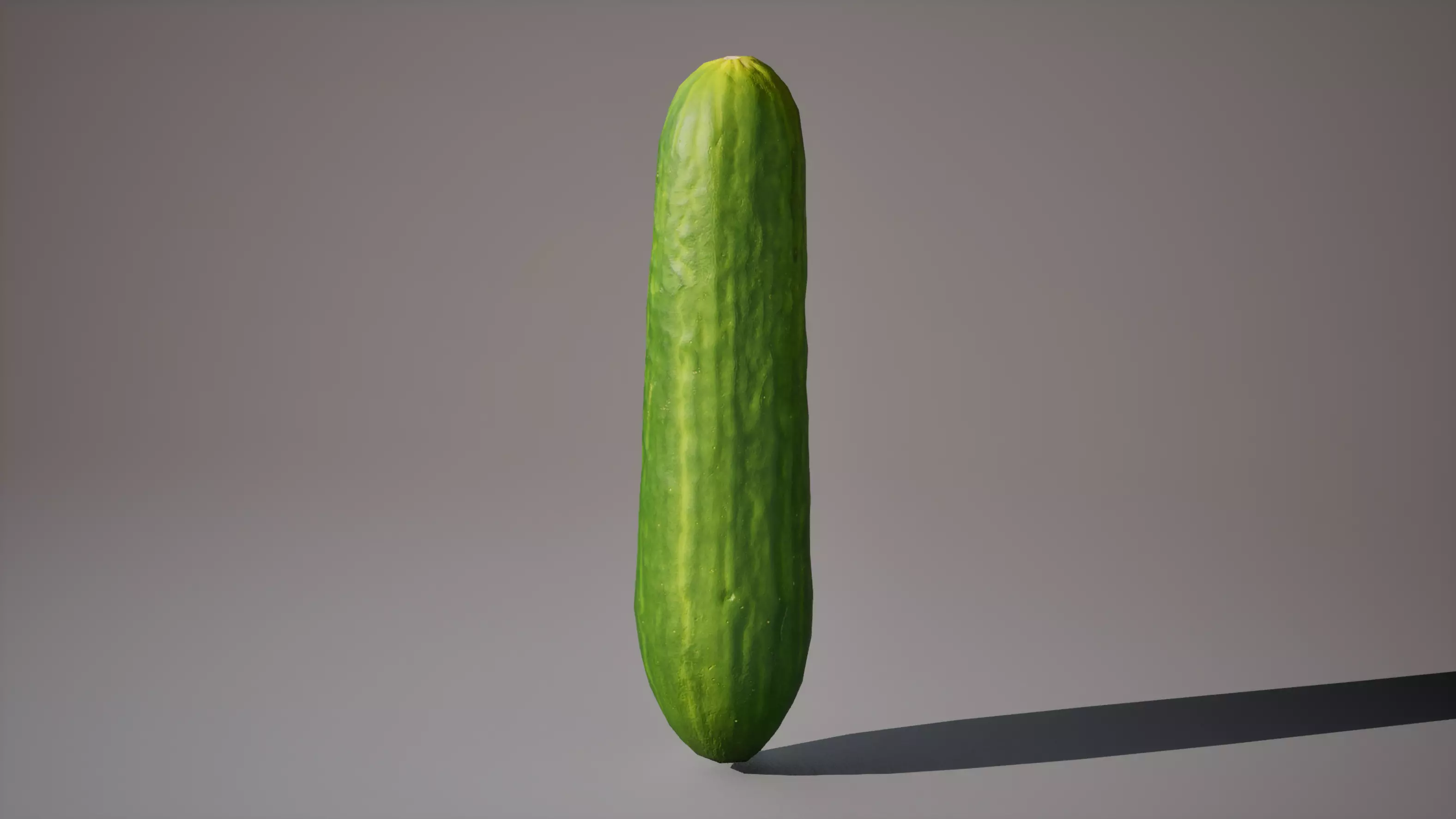 Cucumber 1K triangles 4K PBR textures Low-poly 3D model_7