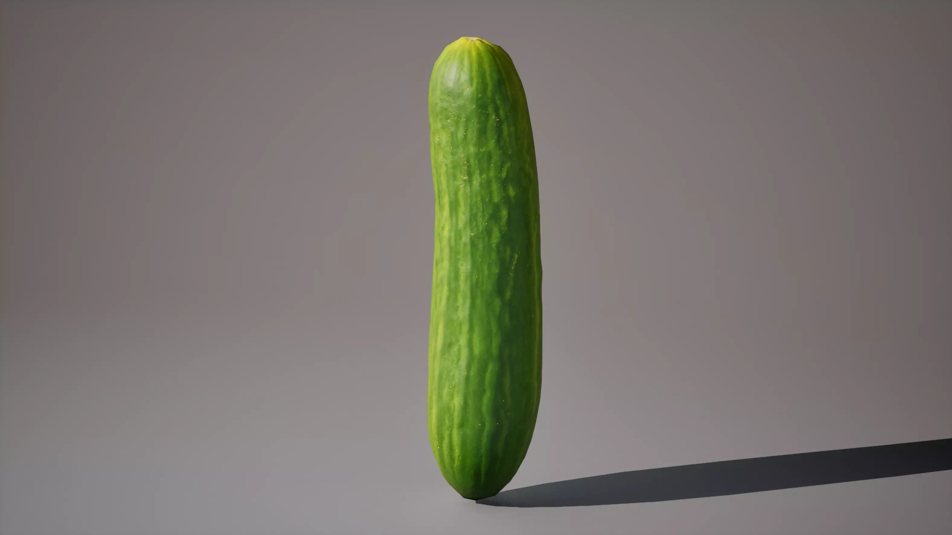 Cucumber 1K triangles 4K PBR textures Low-poly 3D model_6