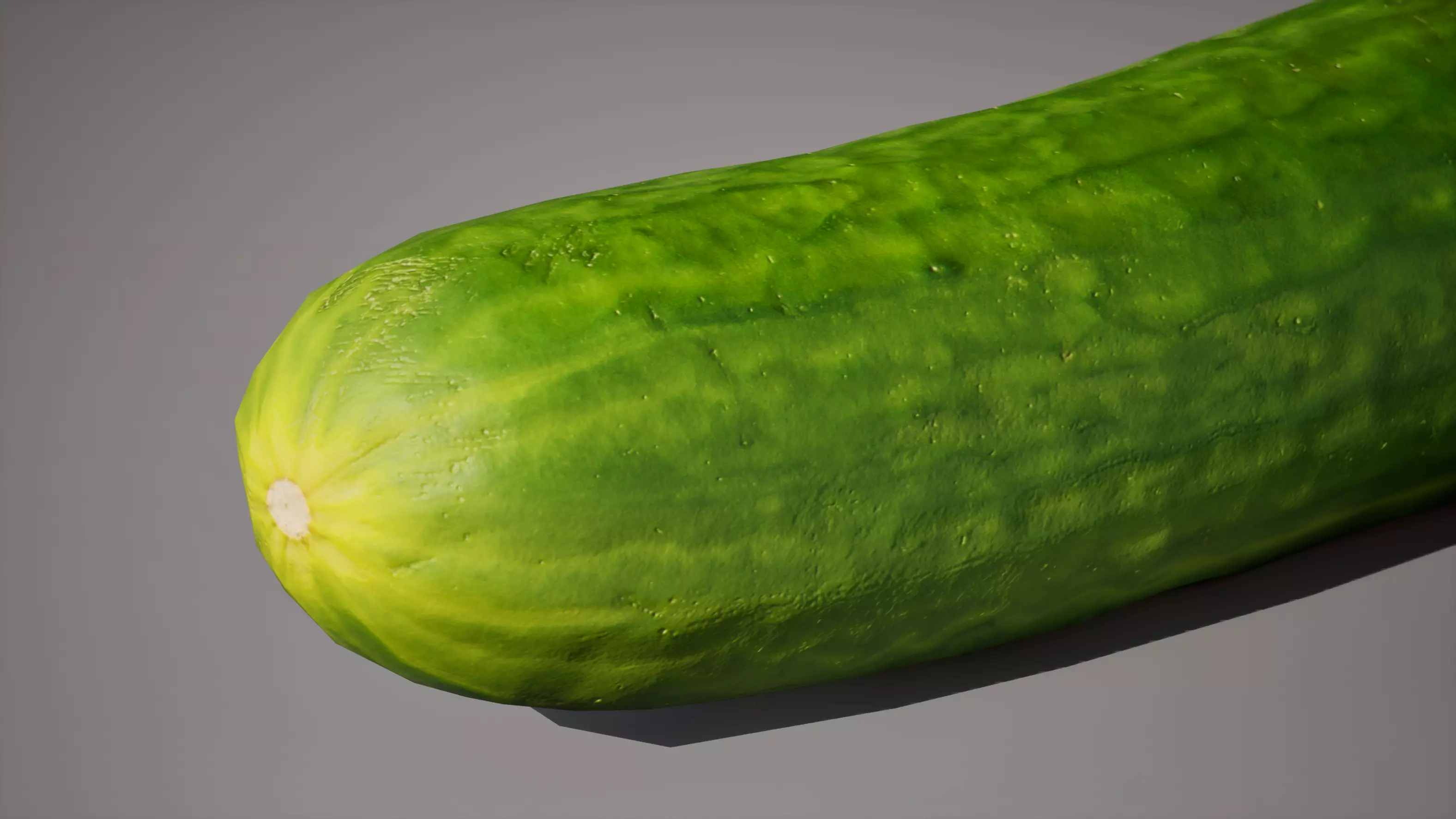 Cucumber 1K triangles 4K PBR textures Low-poly 3D model_3